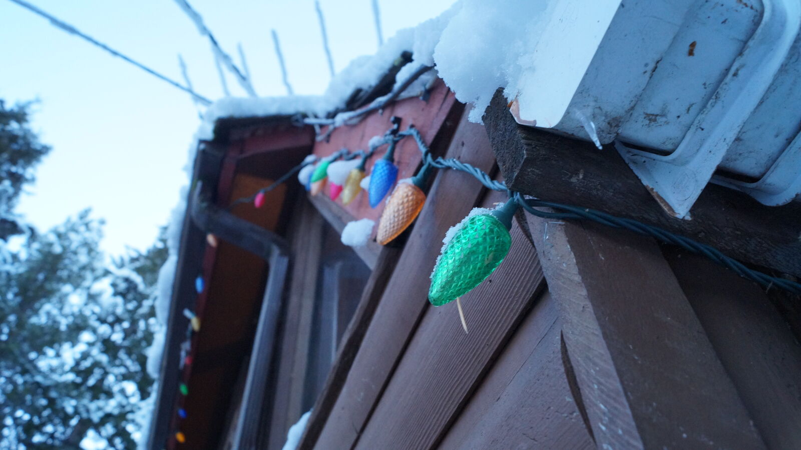Sony DT 18-55mm F3.5-5.6 SAM II sample photo. Low, angle, view, of photography
