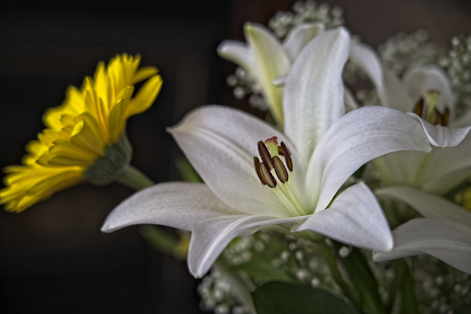 Sony a7 III sample photo. Lily, white, pistil photography