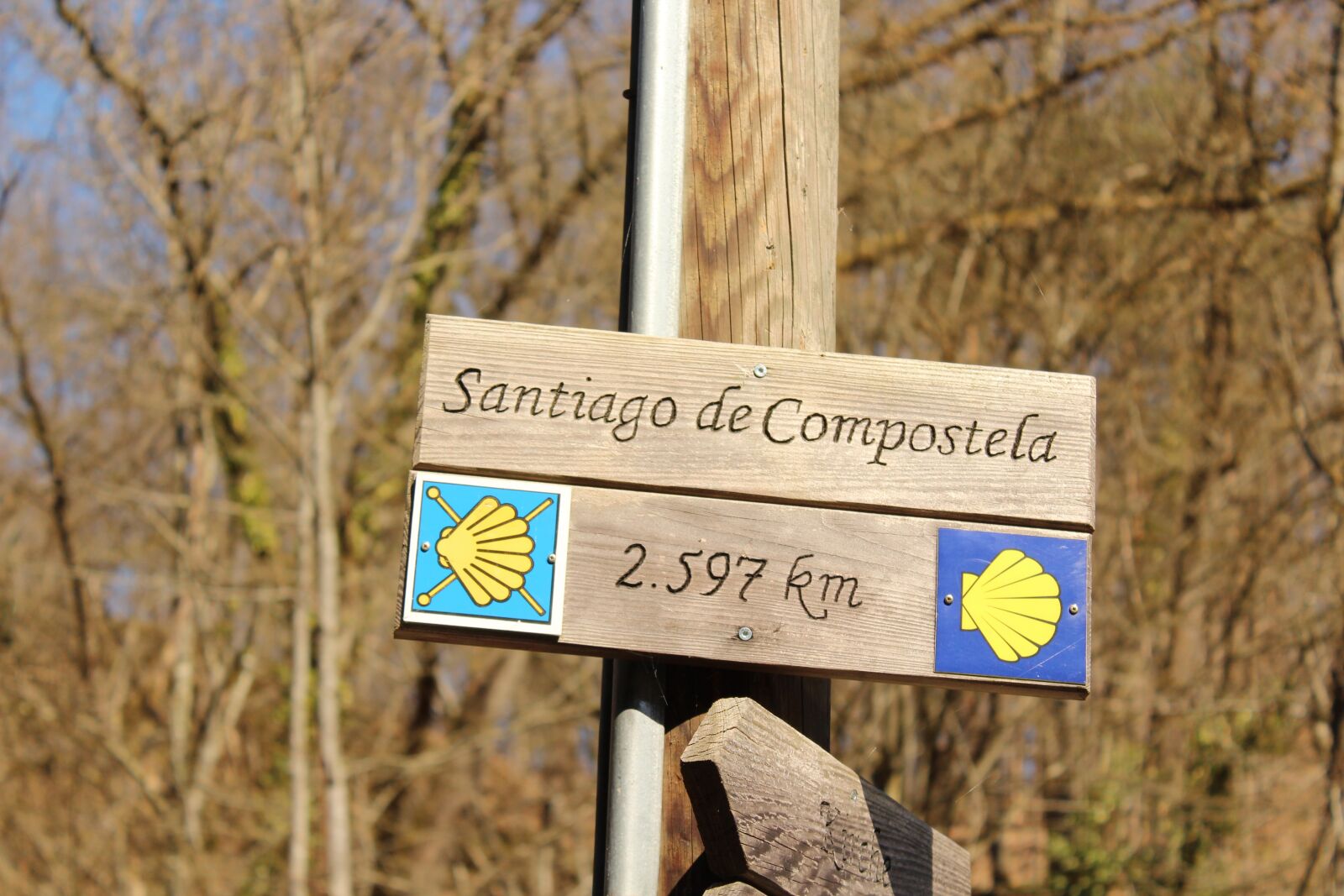 Canon EOS 1300D (EOS Rebel T6 / EOS Kiss X80) sample photo. Nature, jakobsweg, santiago de photography