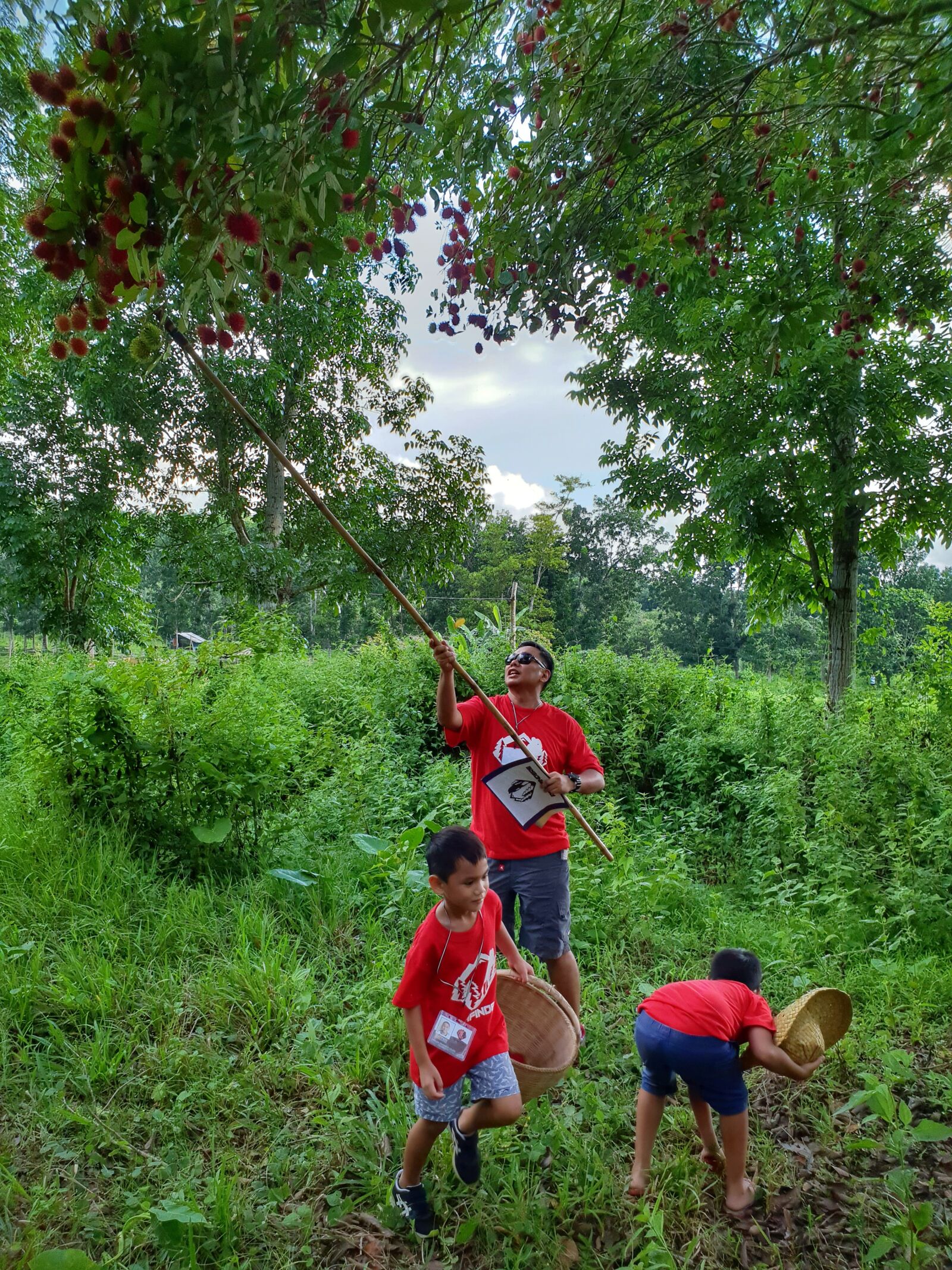 Samsung Galaxy S9+ sample photo. Camping, fruit, trees photography