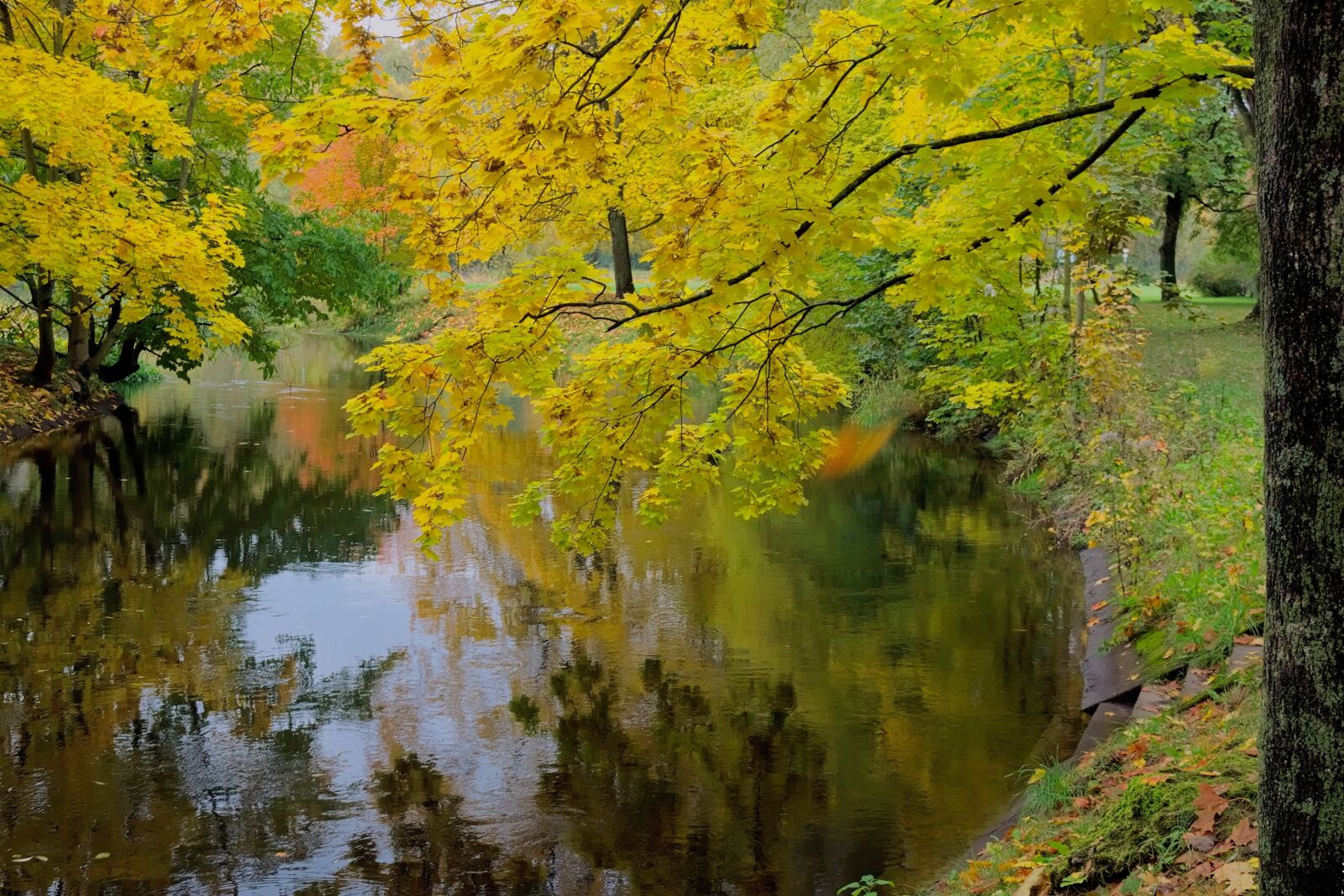 Nikon D3300 sample photo. Landscape, poland, nature photography