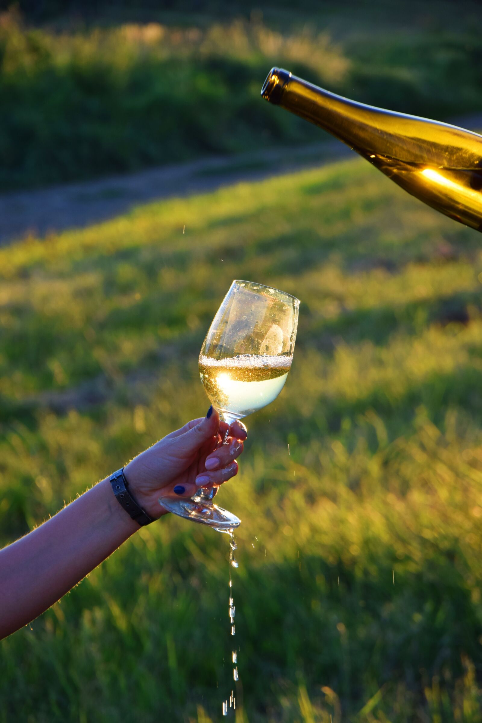 Nikon D3300 sample photo. Glass, wine, white wine photography