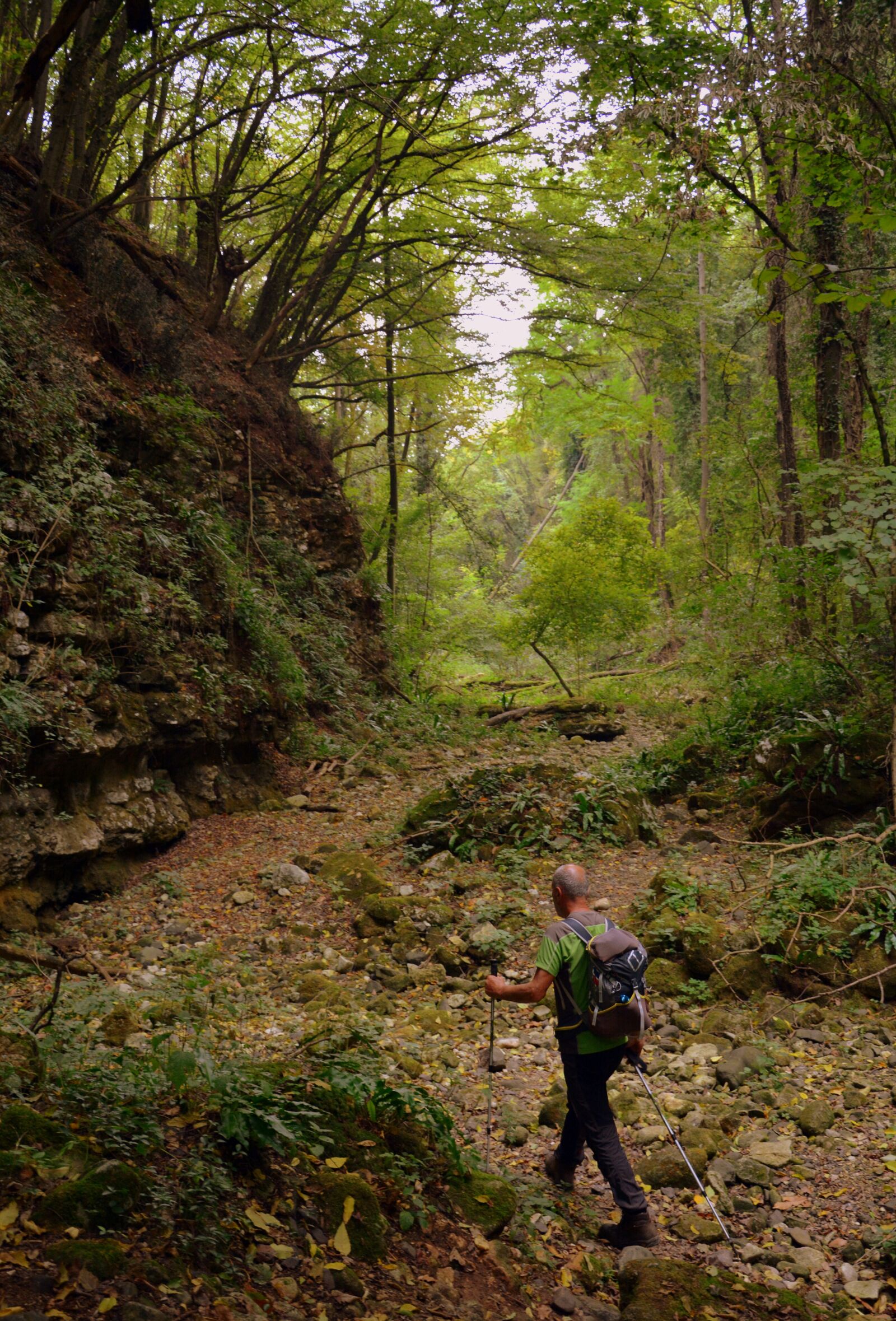 Nikon D7100 sample photo. Excursion, forest, val borago photography