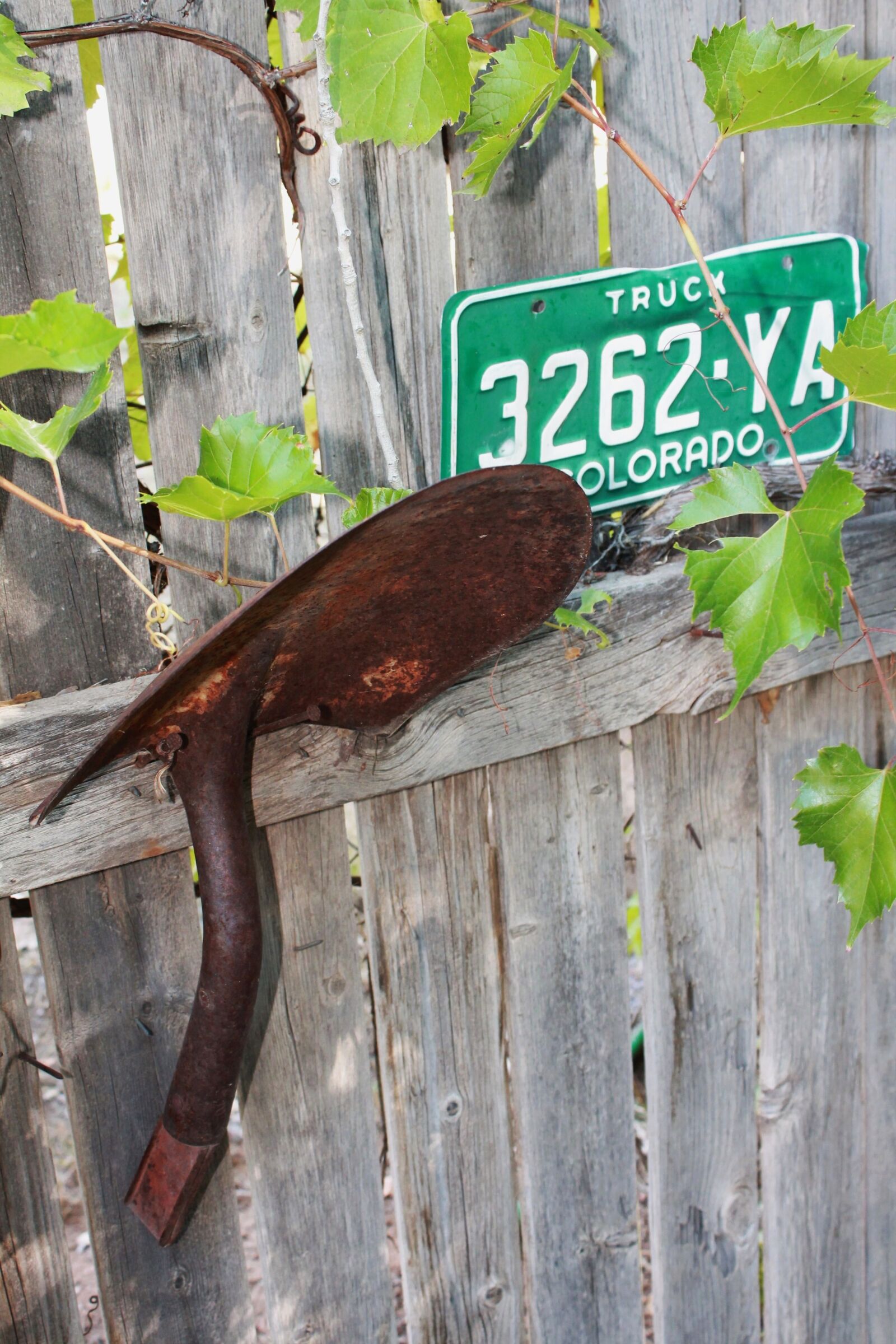 Canon EOS 1100D (EOS Rebel T3 / EOS Kiss X50) sample photo. Shovel, license plate, garden photography