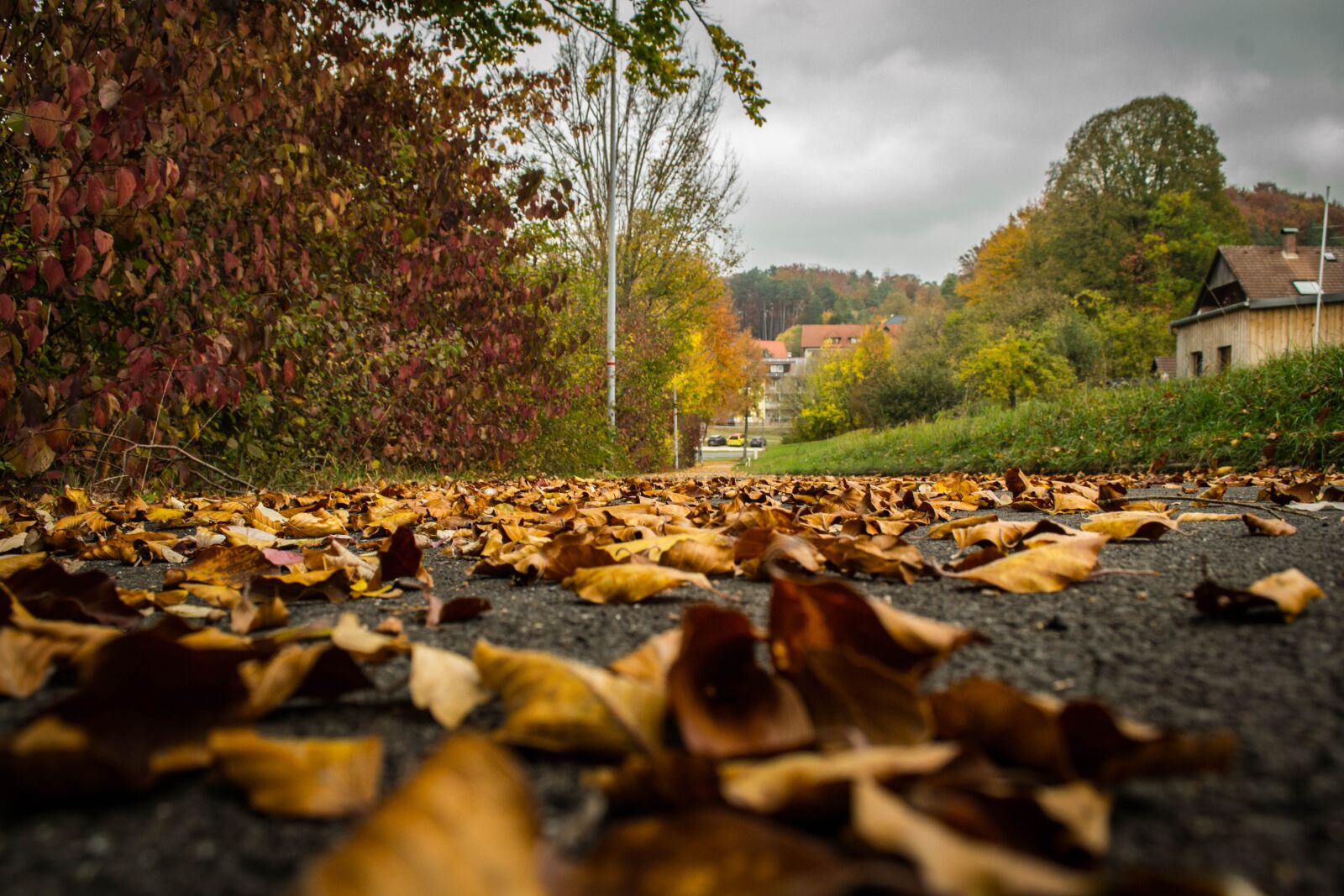 Nikon D3100 sample photo. Autumn, street, city photography