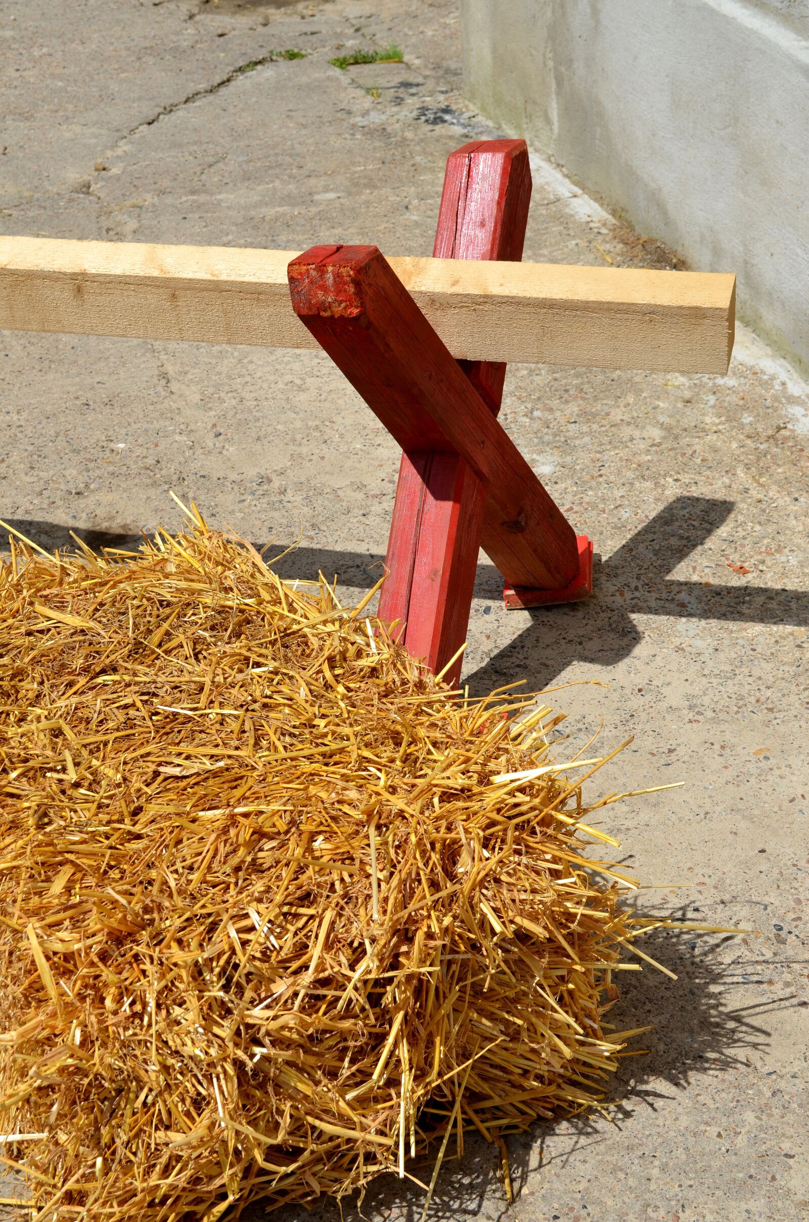 Nikon D5100 sample photo. Cavaletti, show jumping, obstacle photography