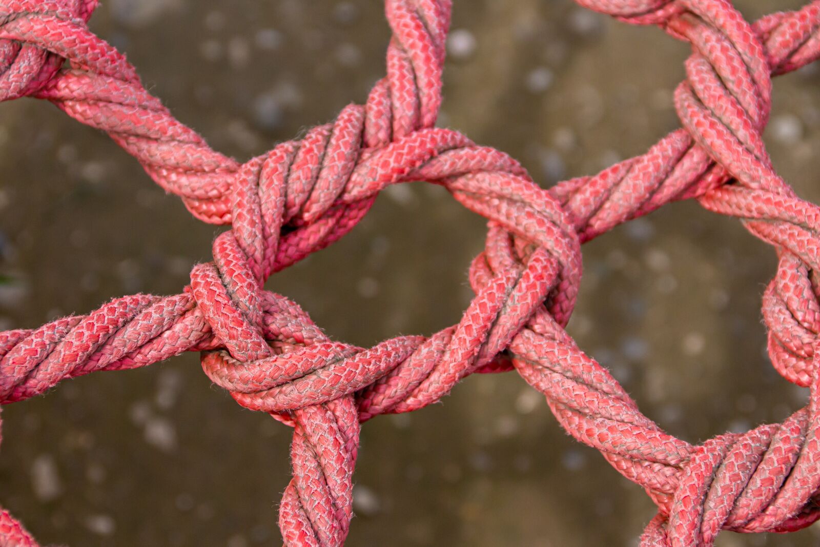 Canon EOS 650D (EOS Rebel T4i / EOS Kiss X6i) sample photo. Ropes, connection, knot photography
