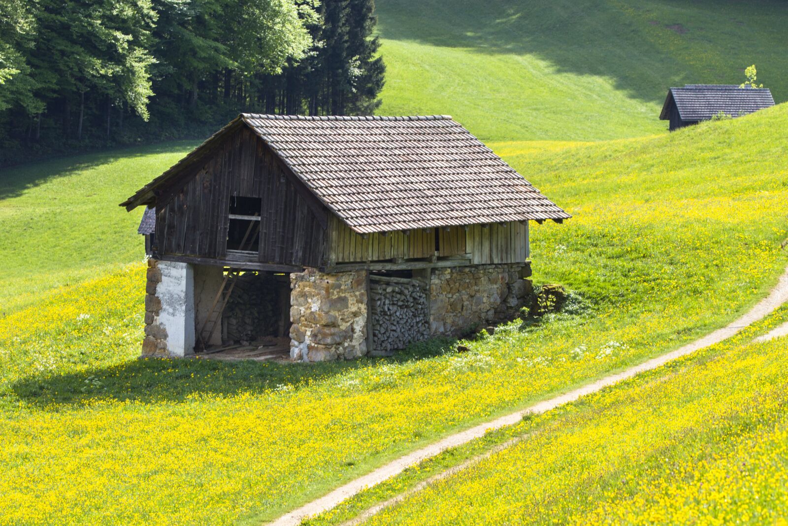 Canon EOS 7D + 150-600mm F5-6.3 DG OS HSM | Contemporary 015 sample photo. Hut, meadow, away photography