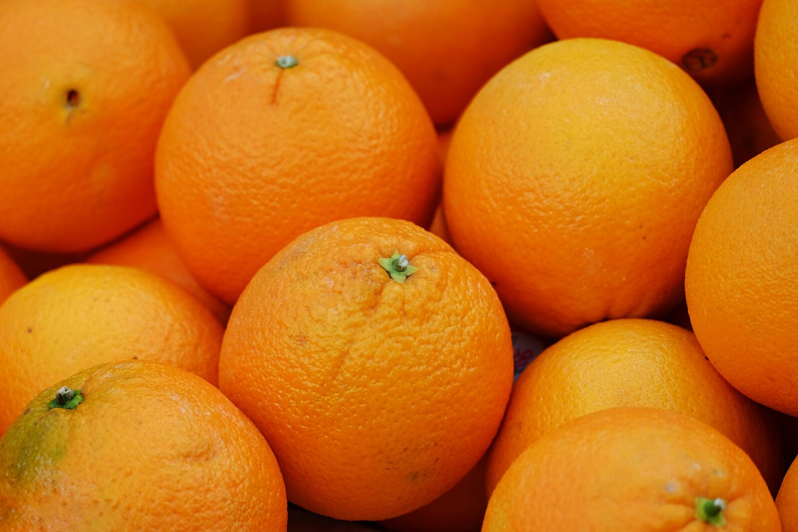 Fujifilm XF 55-200mm F3.5-4.8 R LM OIS sample photo. Oranges, citrus fruits, fruit photography