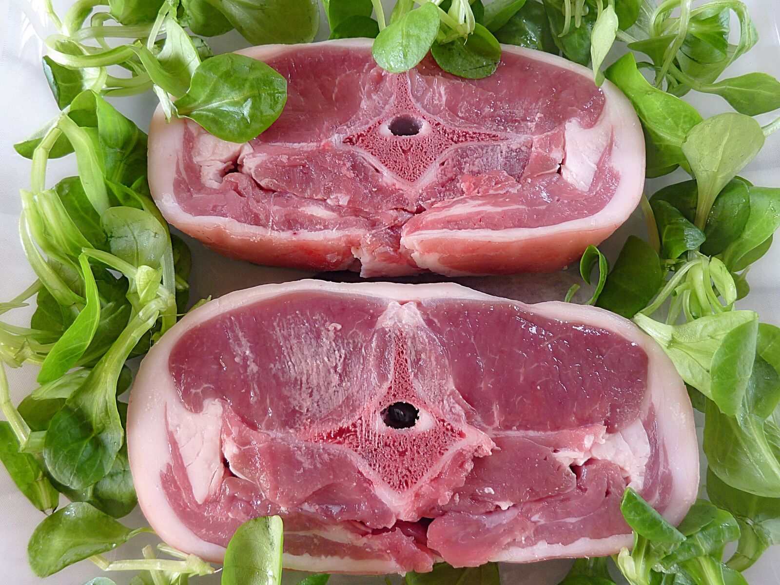 Panasonic DMC-TZ7 sample photo. Meat, lamb, eat photography