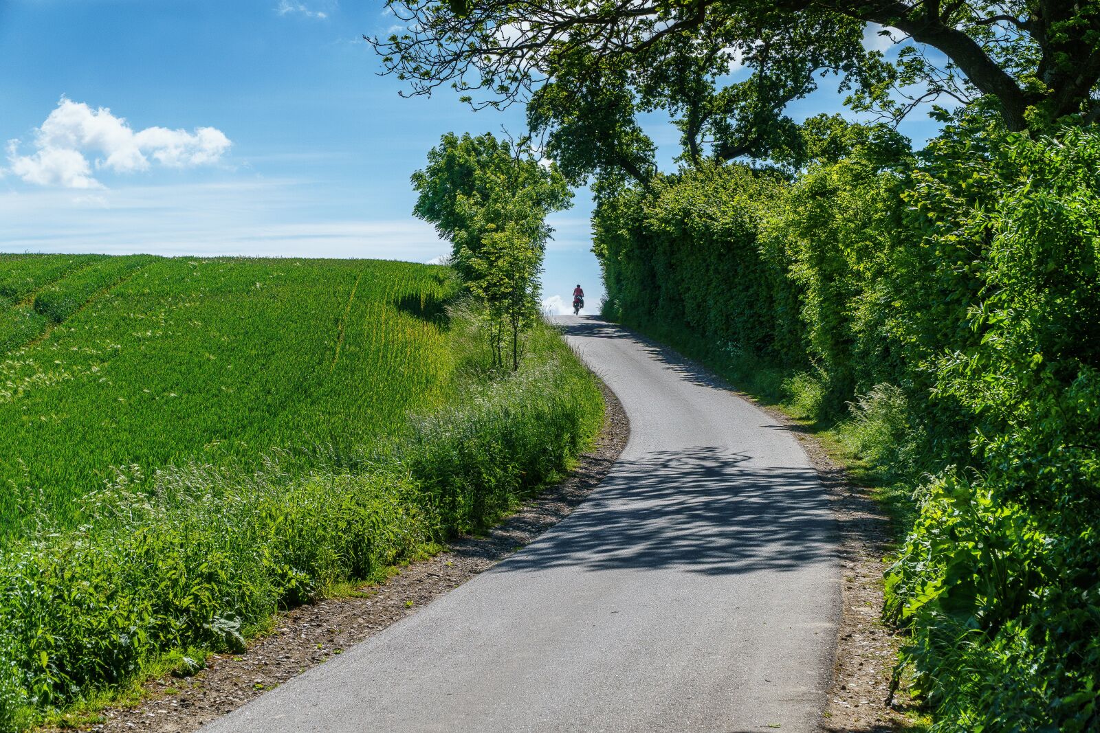 Sony a6000 + Sony E PZ 18-105mm F4 G OSS sample photo. Bicycle tour, away, baltic photography