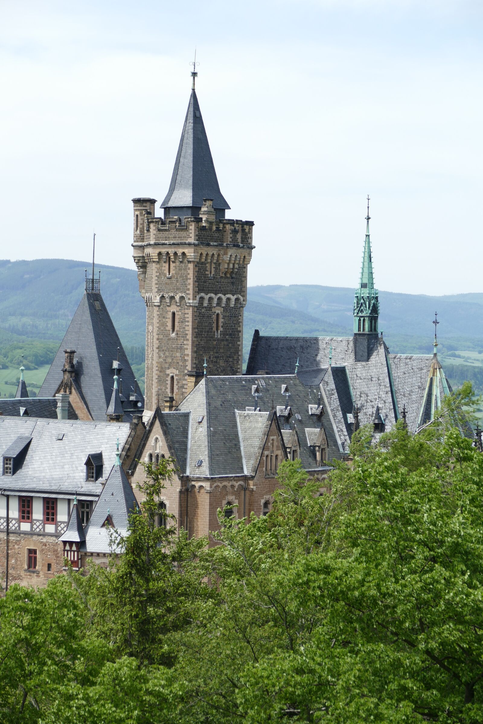 Panasonic Lumix DMC-FZ1000 sample photo. Castle, wernigerode, forest photography