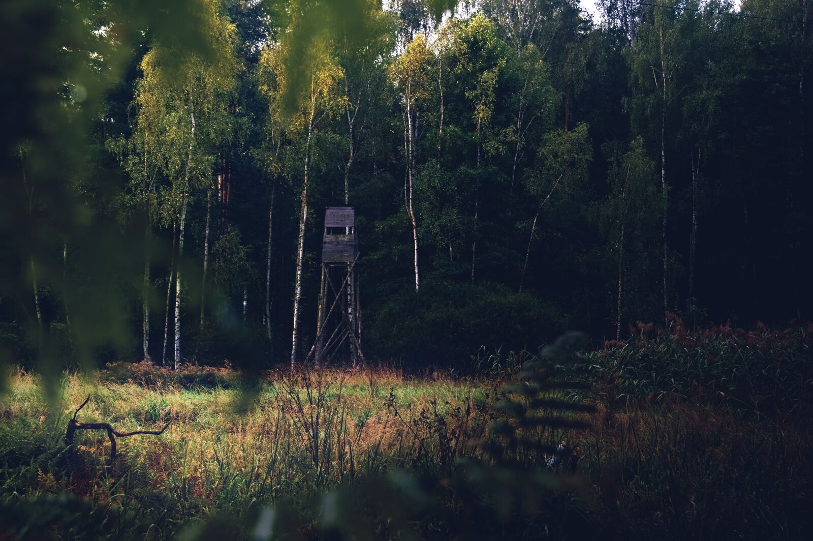 Canon EOS 40D sample photo. Cottage, forester, tower photography
