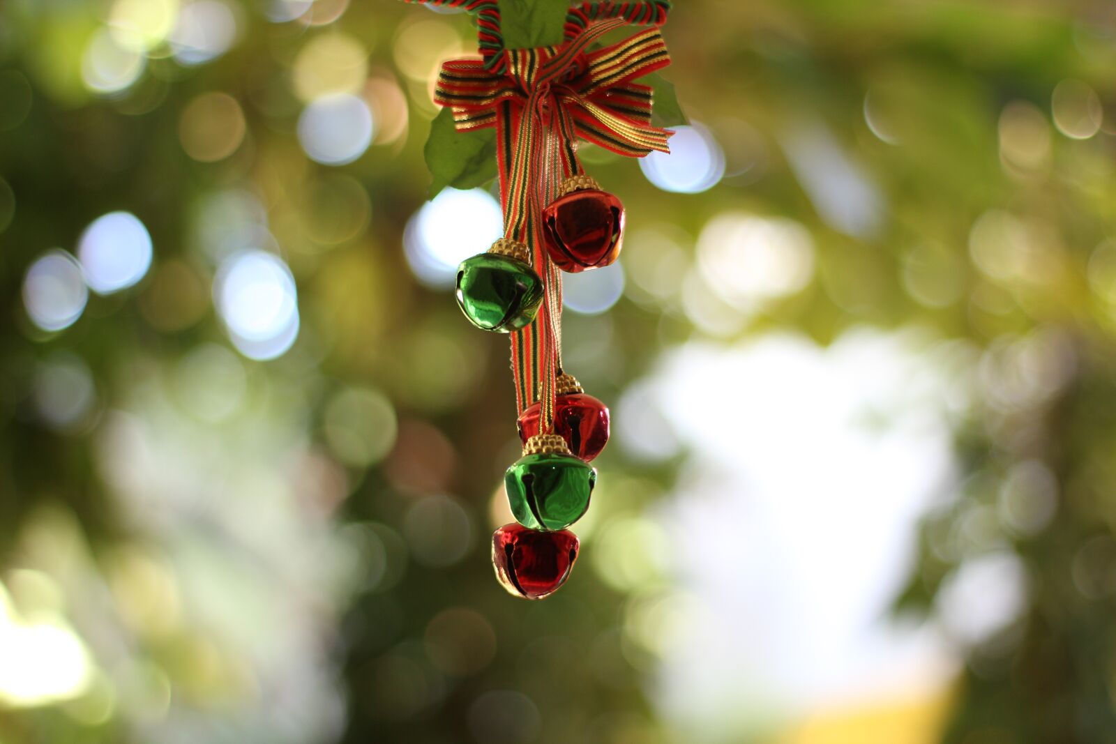 Canon EOS 600D (Rebel EOS T3i / EOS Kiss X5) sample photo. Bells, carol bells, xmas photography