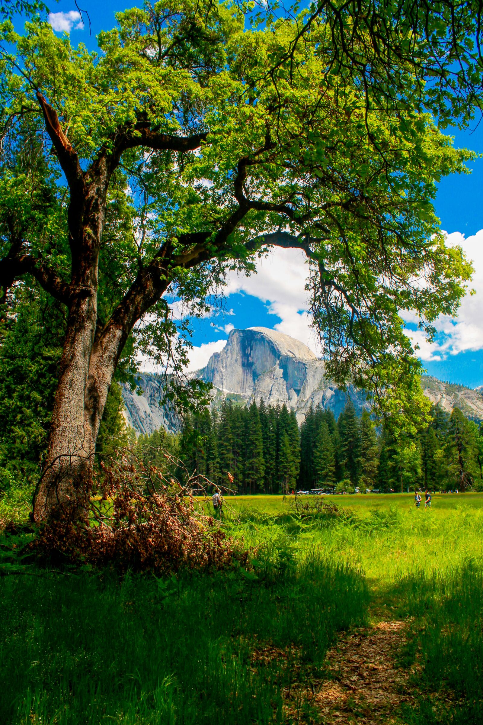 Canon EOS 1100D (EOS Rebel T3 / EOS Kiss X50) sample photo. Half dome, yosemite, california photography