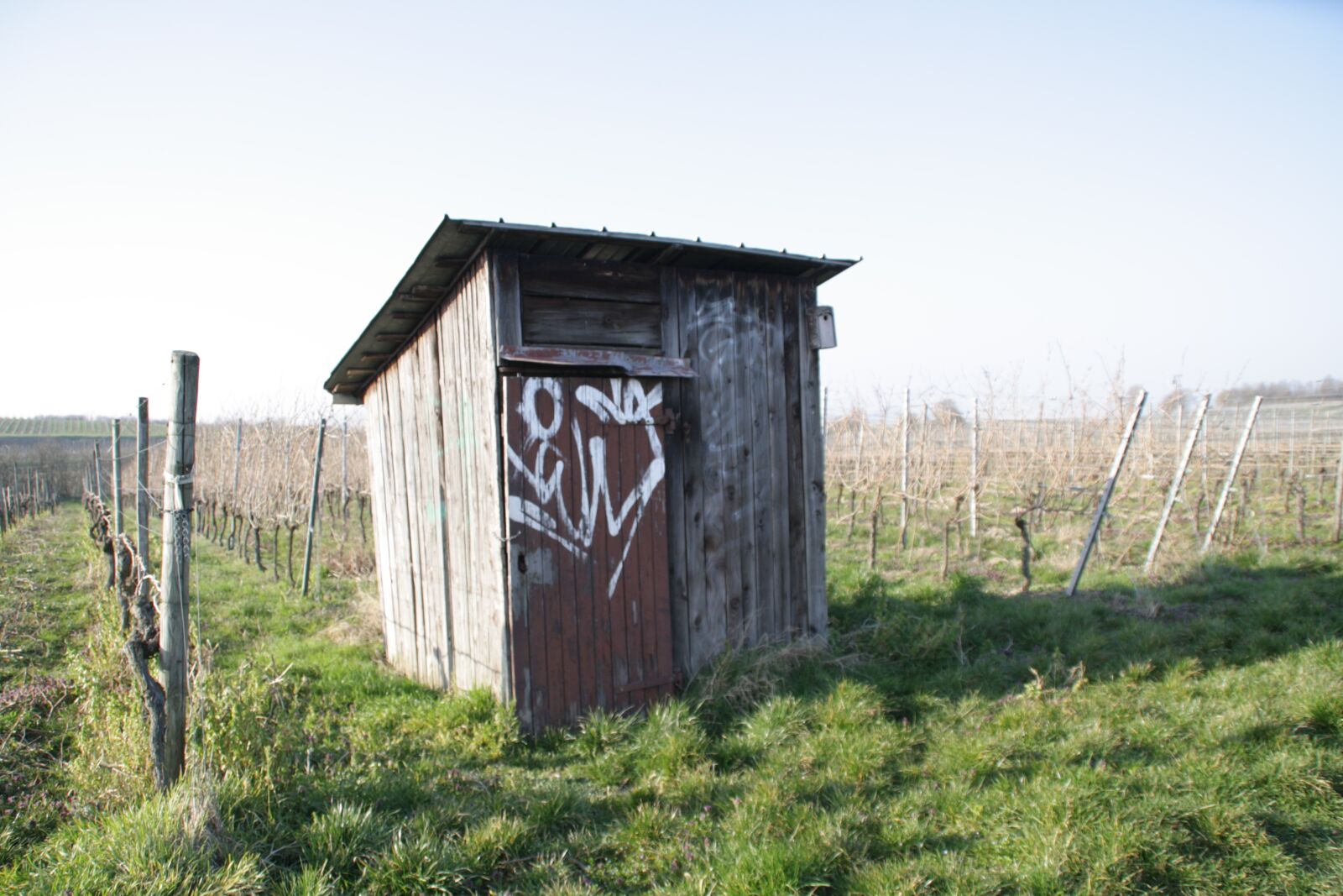 Canon EOS 1000D (EOS Digital Rebel XS / EOS Kiss F) sample photo. Hut, vineyard, landscape photography