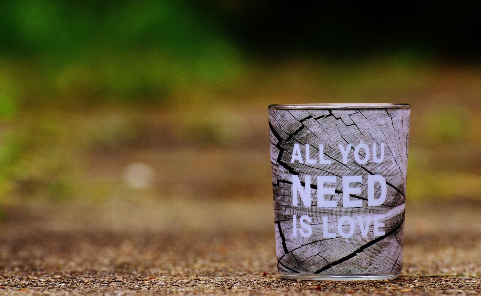 Nikon D3200 sample photo. Love, affection, valentine's day photography