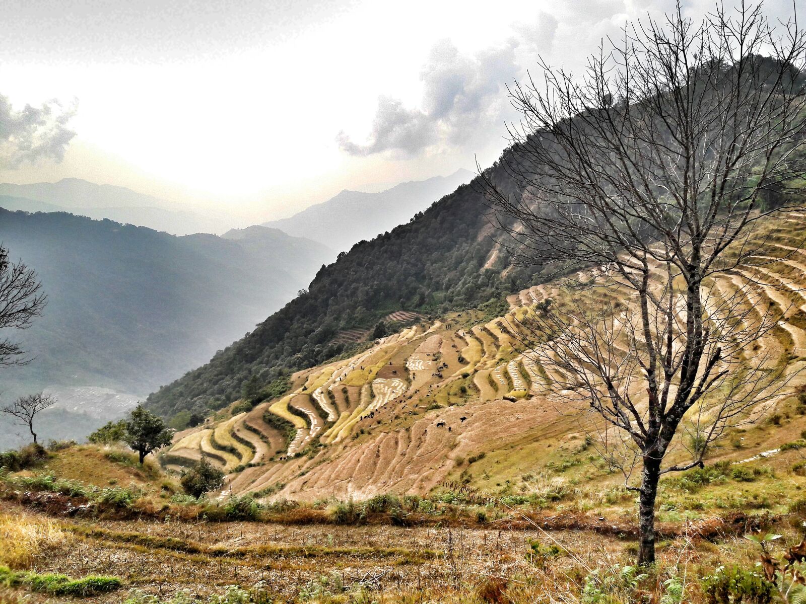 Samsung Galaxy A5(2016) sample photo. Nature, landscape, sky photography