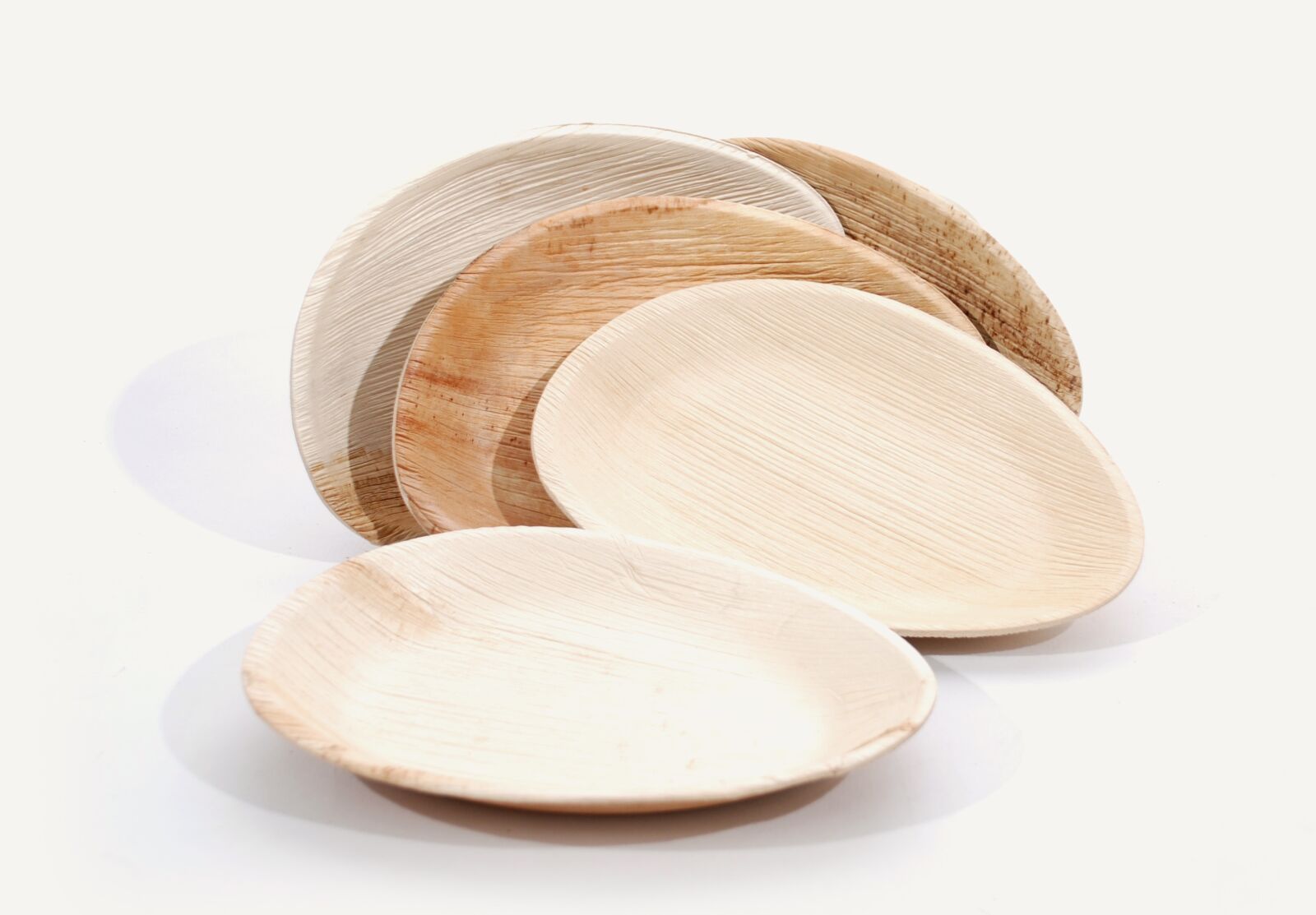 Nikon D80 sample photo. Round, plates, palm leaf photography