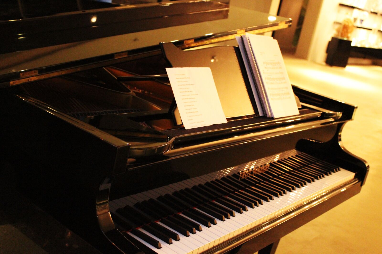 Canon EOS 600D (Rebel EOS T3i / EOS Kiss X5) sample photo. Piano, score, art photography