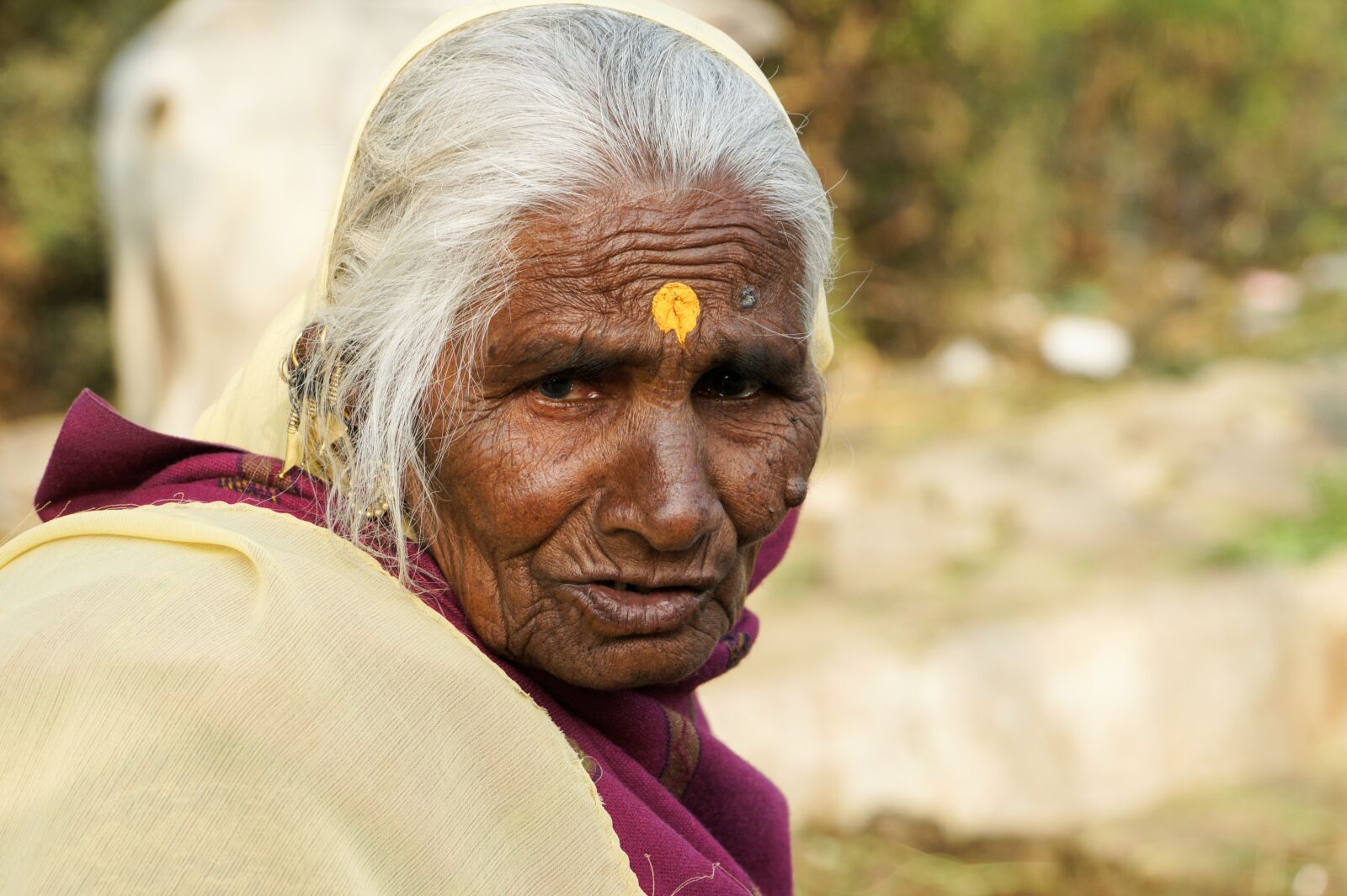 Sony Alpha NEX-5 + Sony E 18-200mm F3.5-6.3 OSS sample photo. Woman, india, indian woman photography