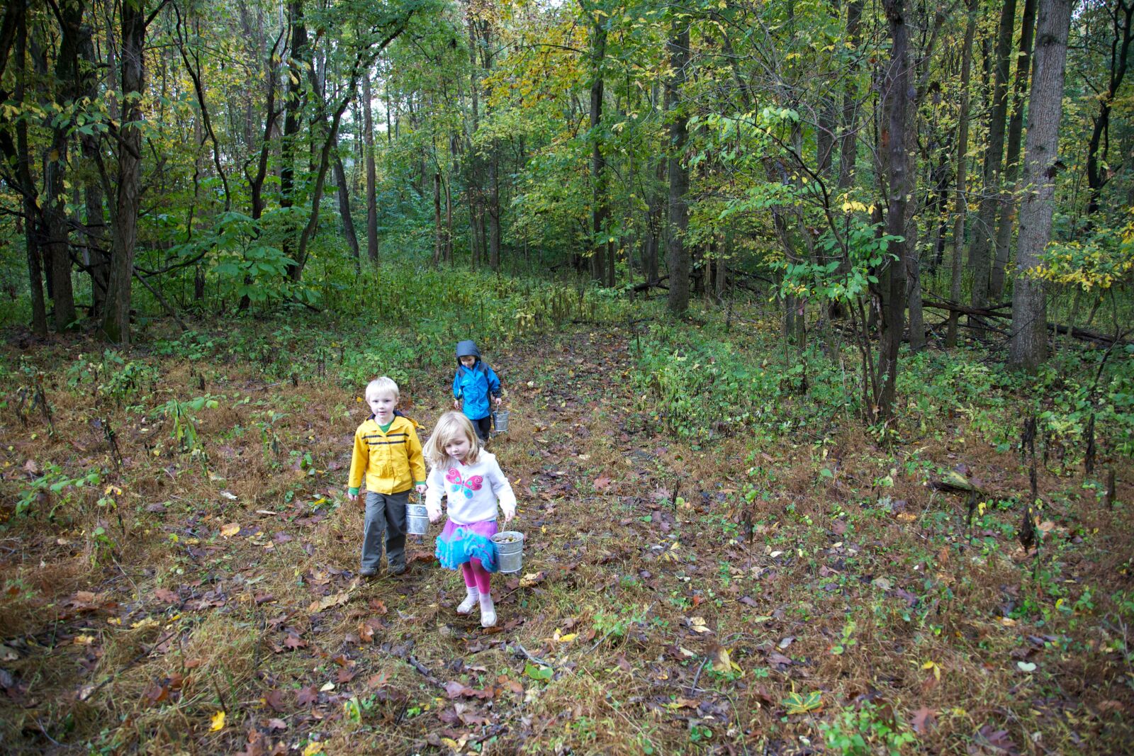 Canon EOS 5D Mark II sample photo. Children, walking, forest, recreation photography