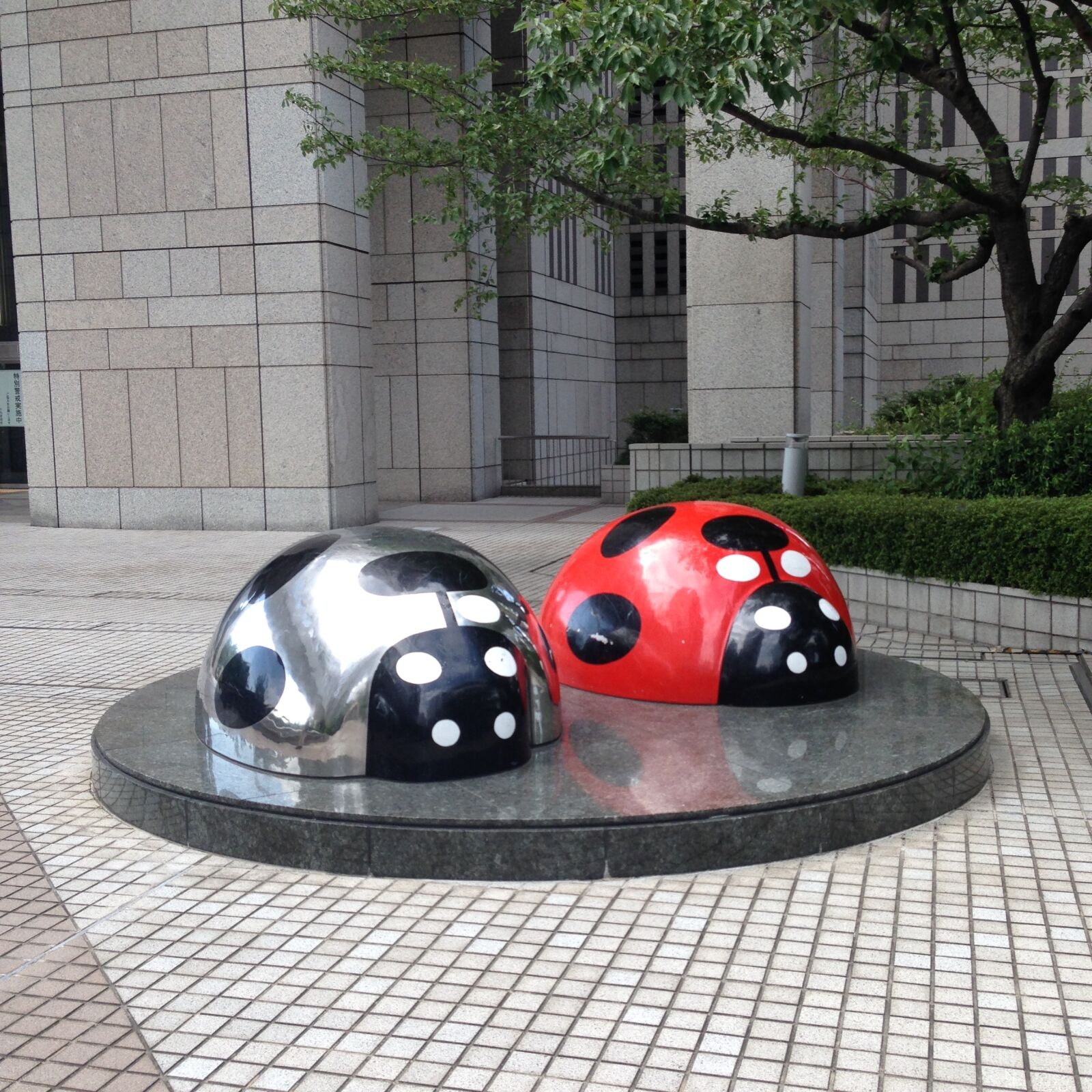 iPhone 5c back camera 4.12mm f/2.4 sample photo. Shinjuku, nobuo miyamoto, ladybug photography