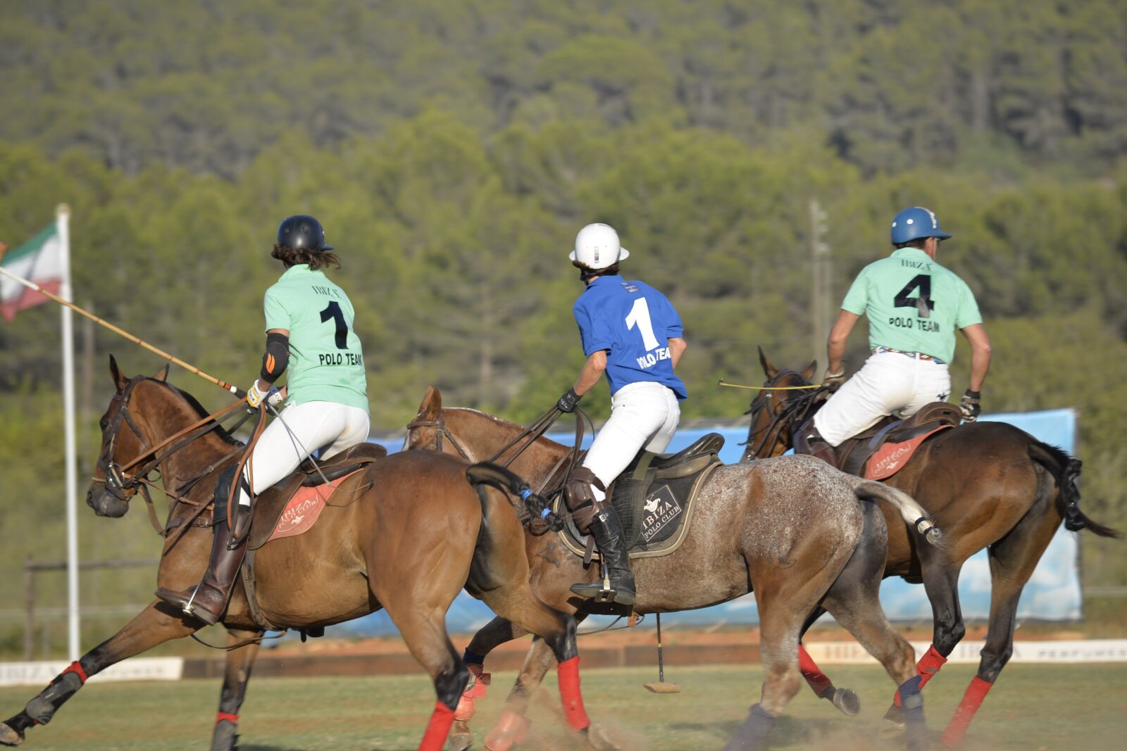 Nikon D610 sample photo. Horse, sport, polo photography