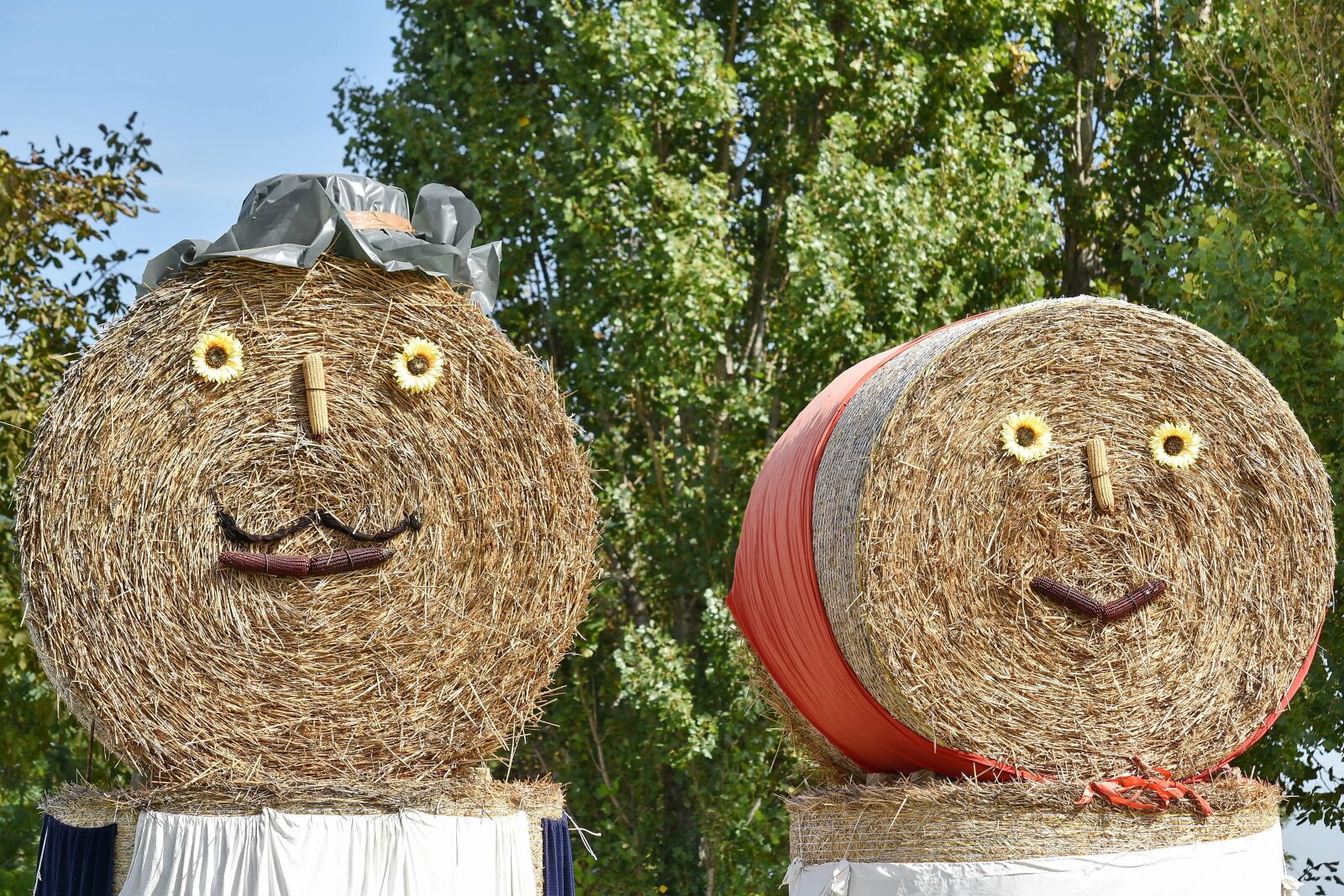 Nikon D5500 sample photo. Covering, nature, agriculture, farm photography