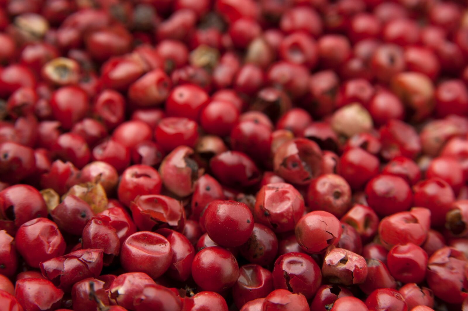 Nikon D70 sample photo. Goji, berry, red photography