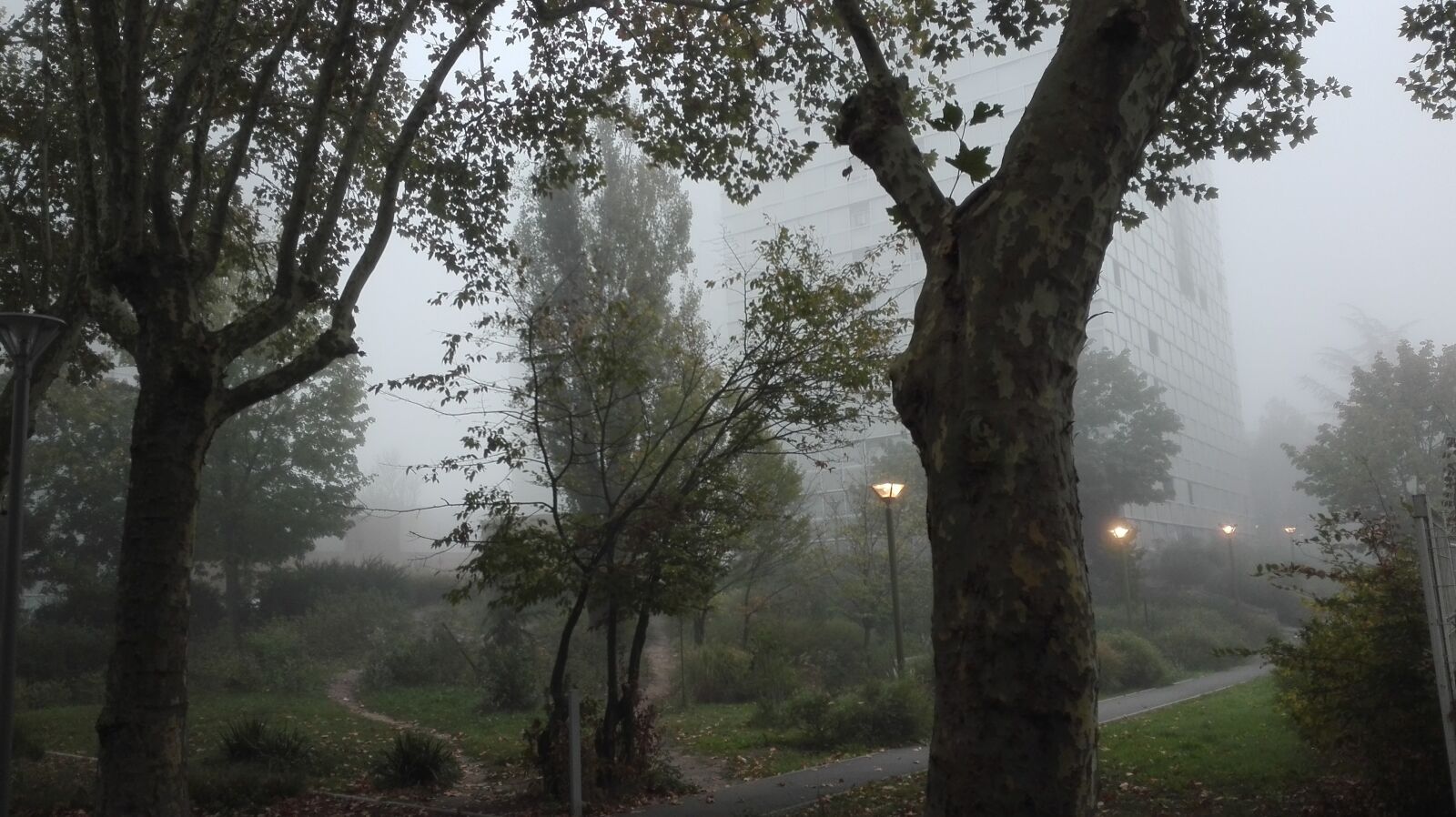HUAWEI P8 Lite sample photo. Mist, fog, urban photography