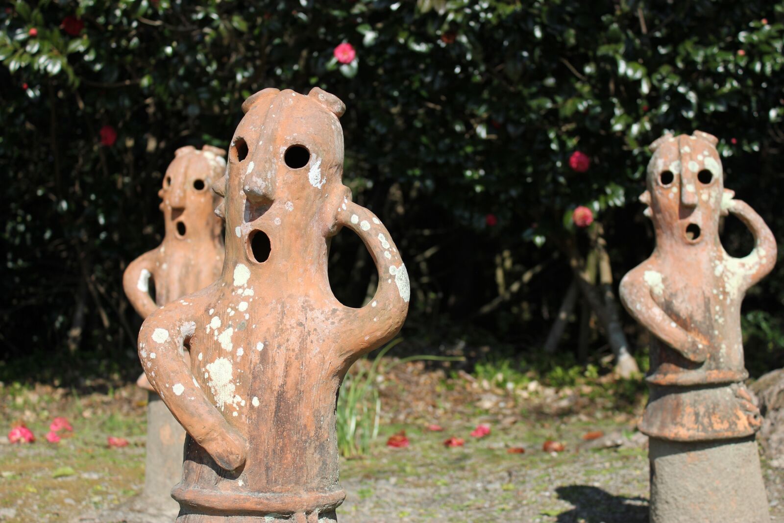 Canon EOS 550D (EOS Rebel T2i / EOS Kiss X4) sample photo. Natural, pottery photography