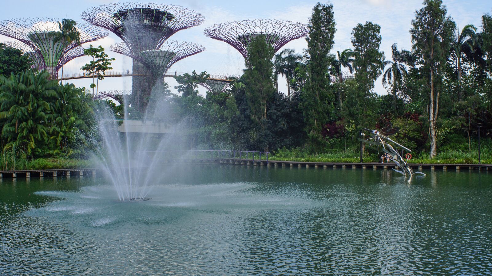 Sony SLT-A65 (SLT-A65V) sample photo. Singapore, gardens, trees photography