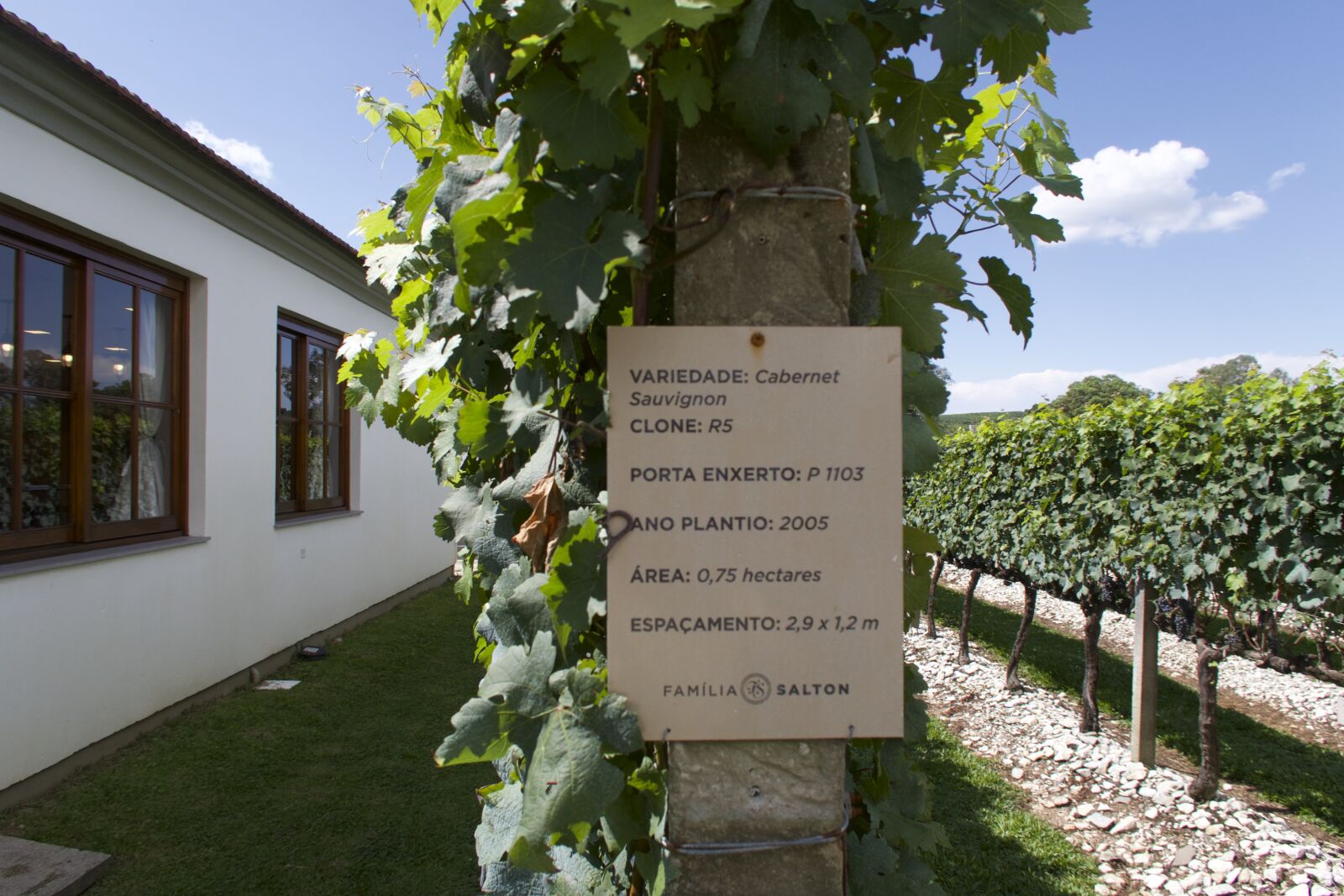 Canon PowerShot G7 X Mark II sample photo. Vineyard, winery, bento gon photography