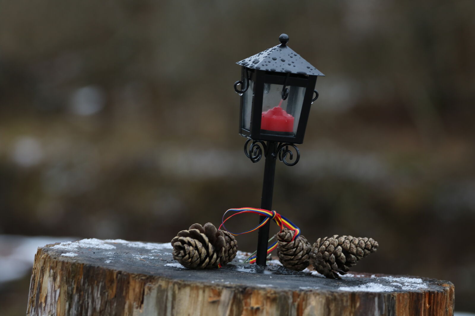 Canon EF 70-200mm F4L USM sample photo. Romania, sibiu photography