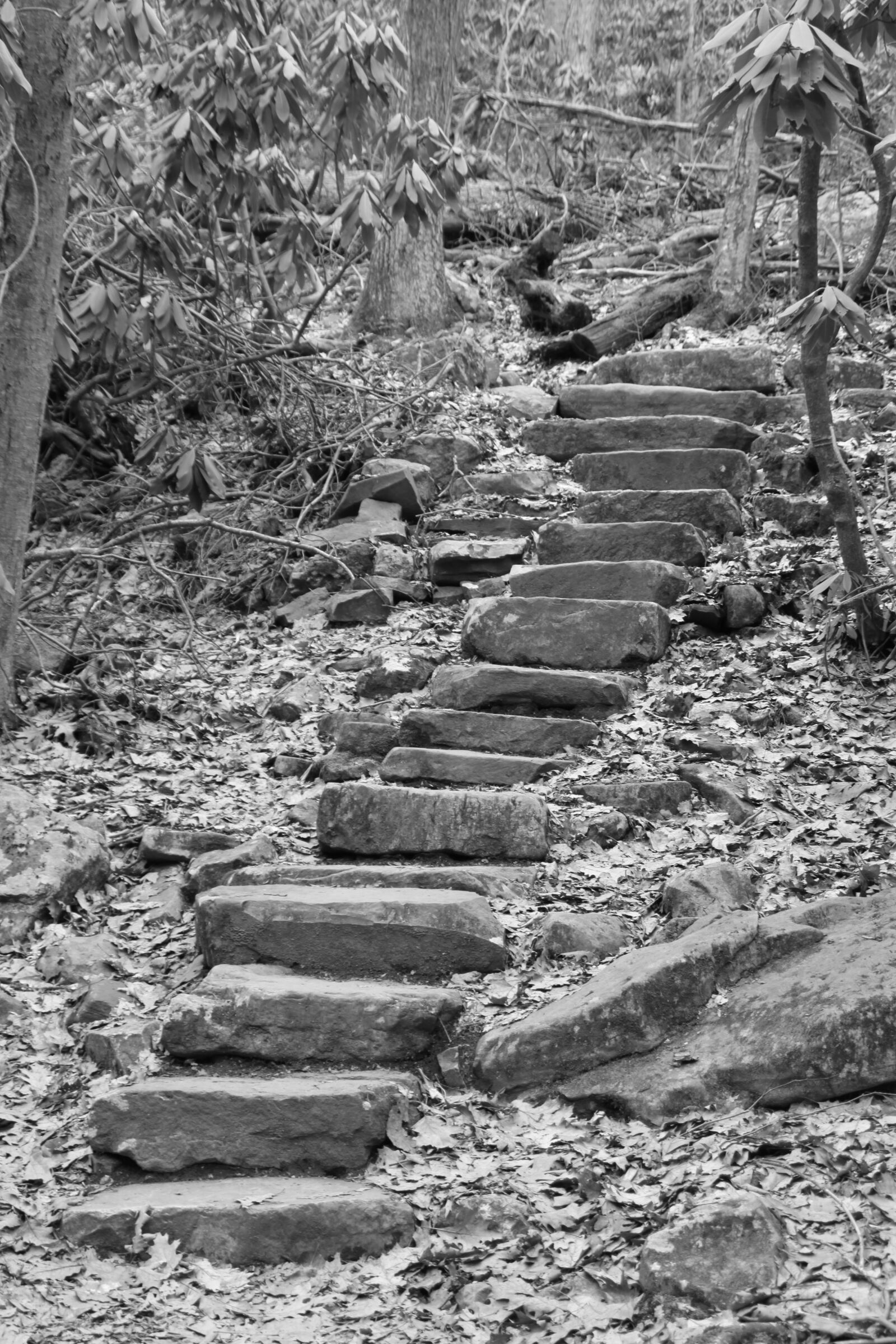 Canon EOS 500D (EOS Rebel T1i / EOS Kiss X3) sample photo. Virginia, cascade falls, tourism photography