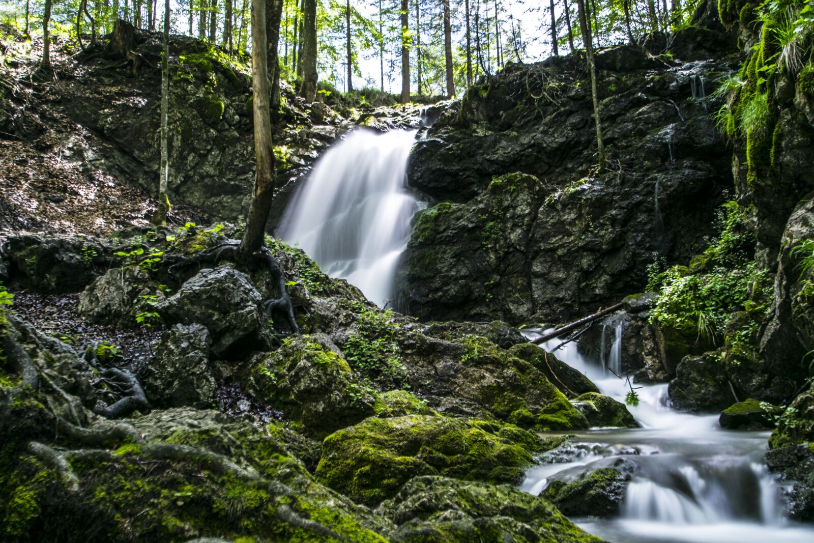 Nikon D5300 sample photo. Forest, waterfall, schliersee photography