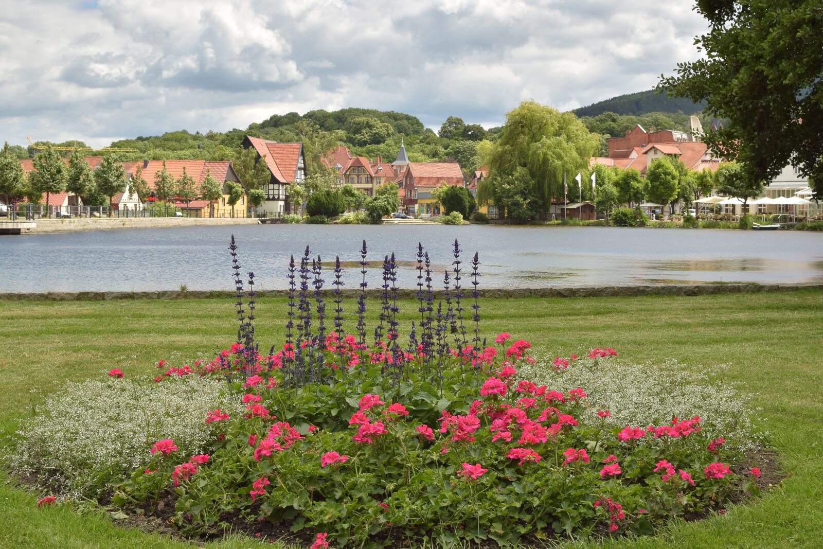 Nikon D5300 sample photo. Park, pond, water photography