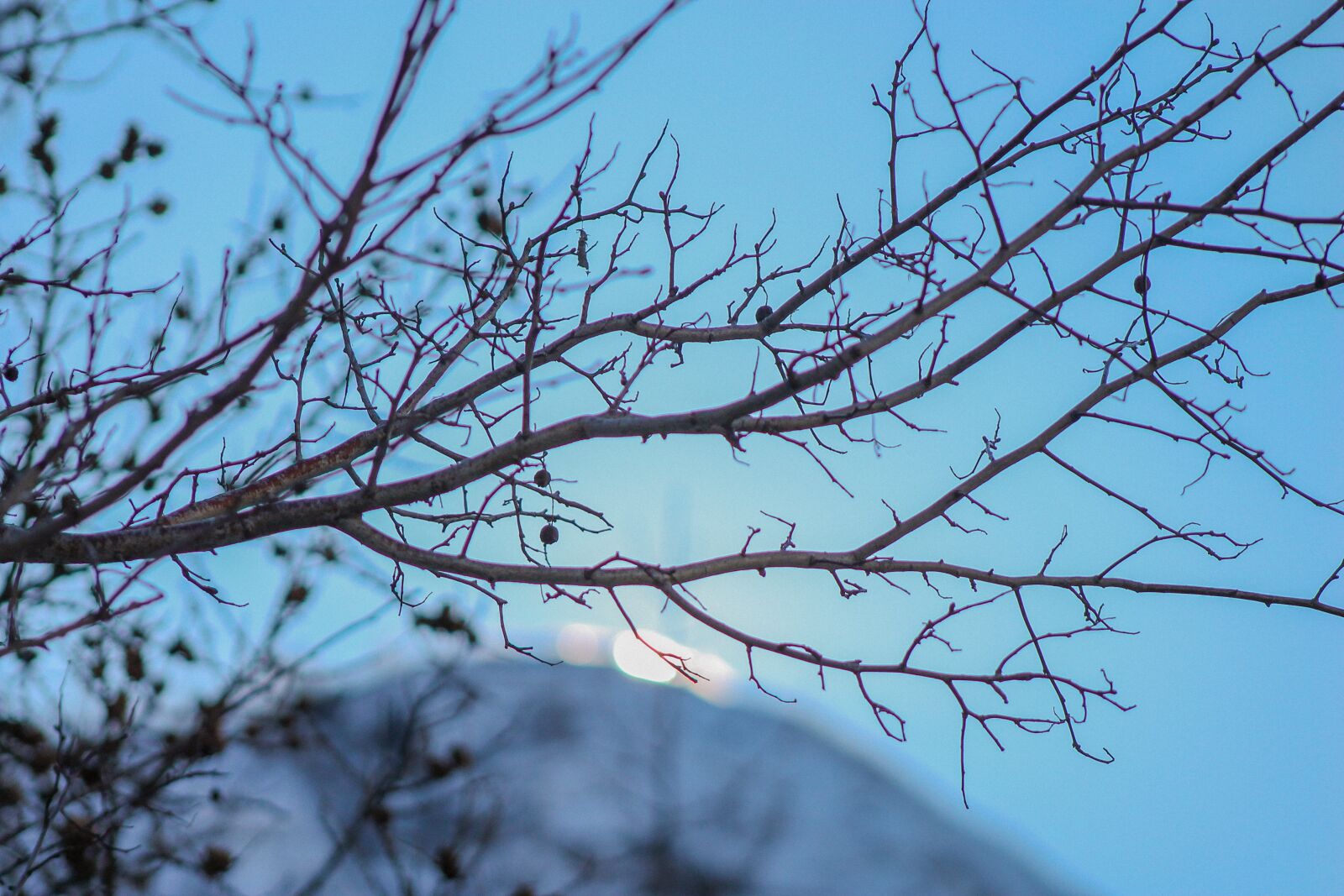 Canon EF 75-300mm f/4-5.6 sample photo. Winter, tree, mountain photography