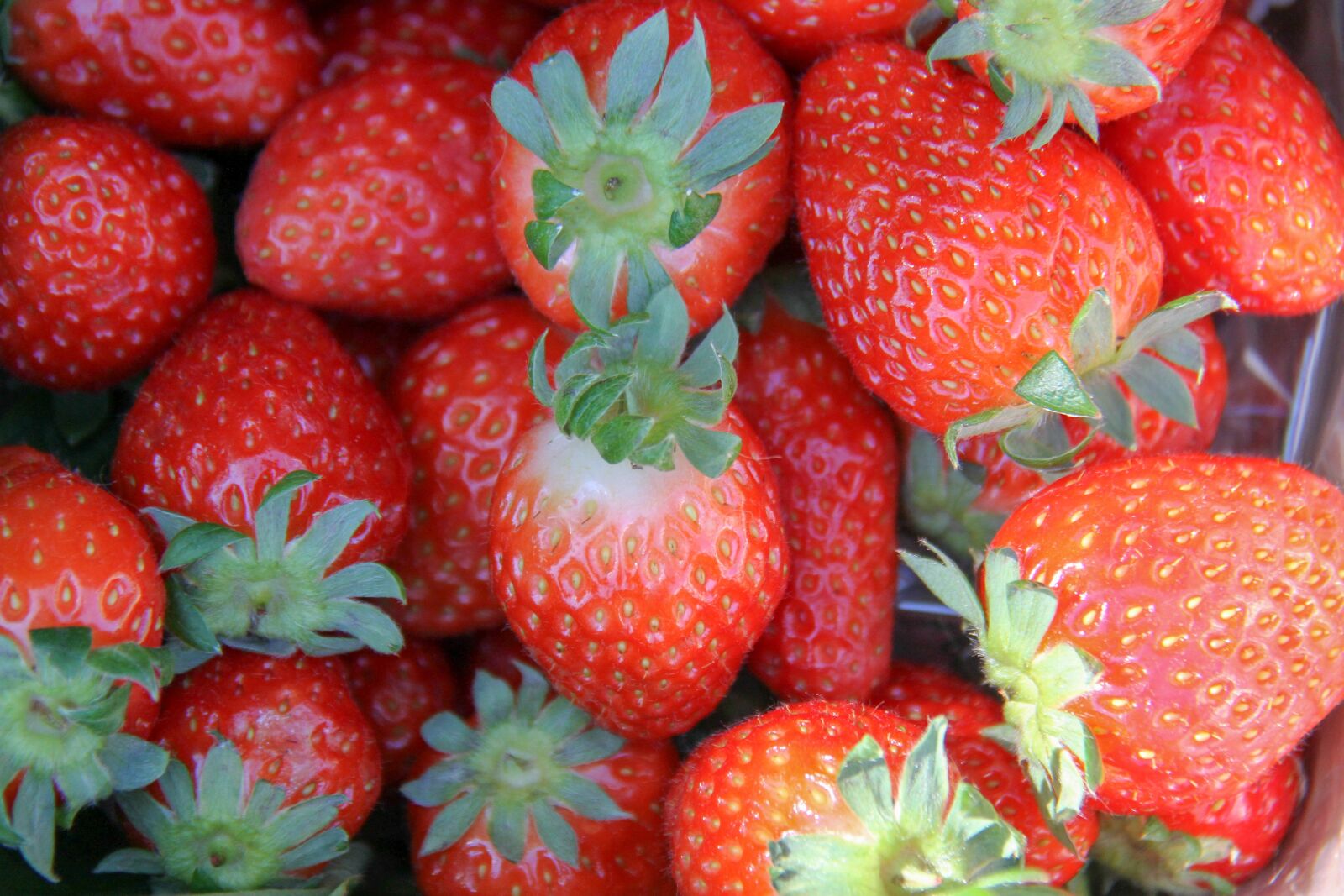 Canon EOS 7D sample photo. Strawberries, red, fruit photography