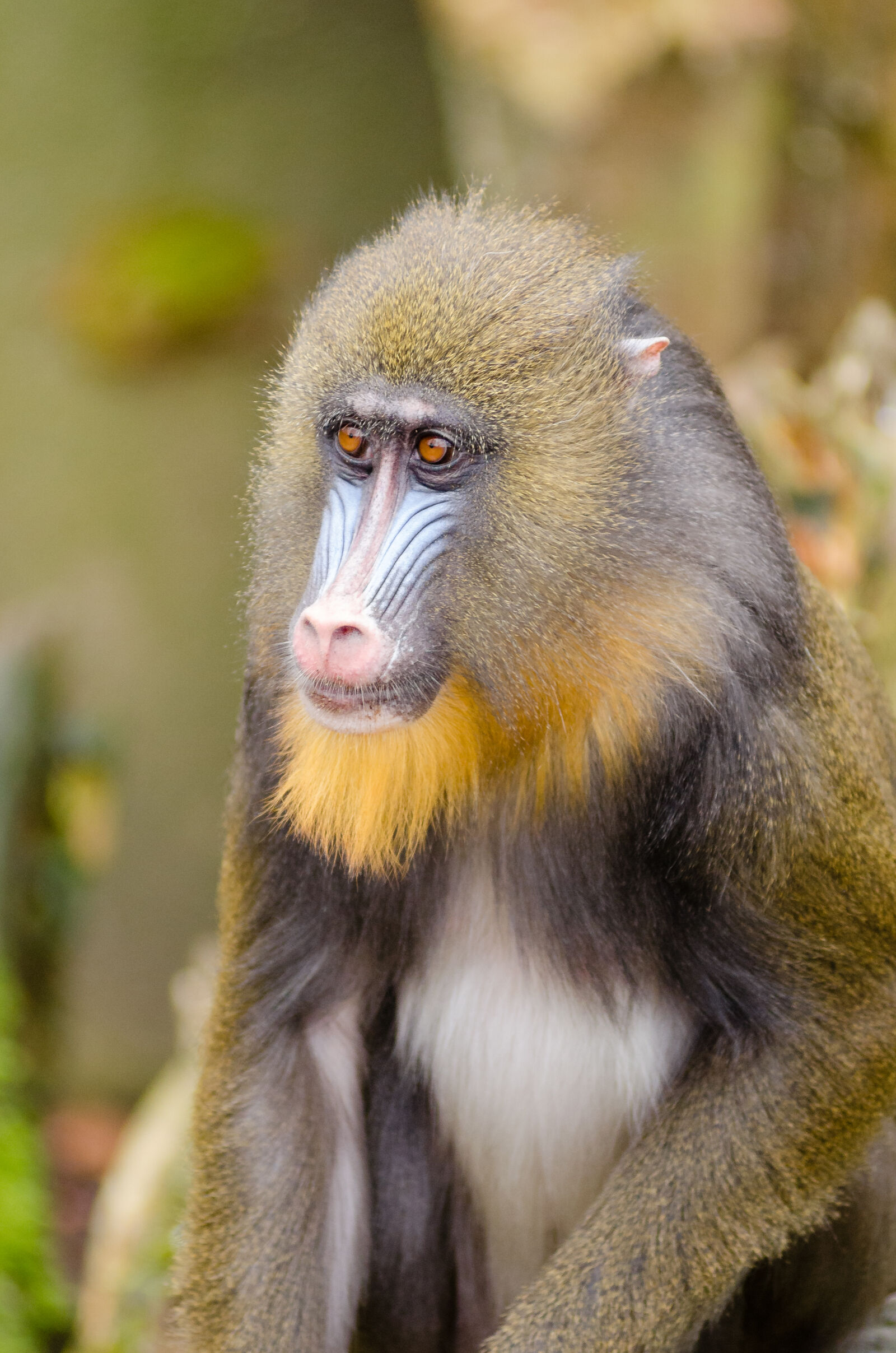 AF Zoom-Nikkor 80-200mm f/2.8 ED sample photo