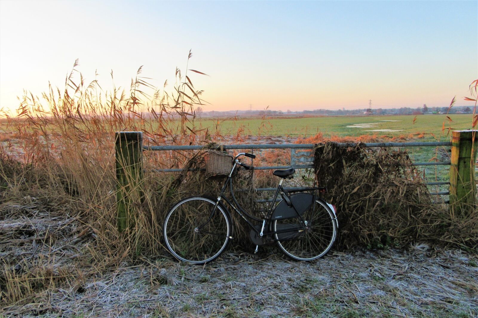 Canon PowerShot SX610 HS sample photo. Sunrise, bicycle, grandma's bike photography