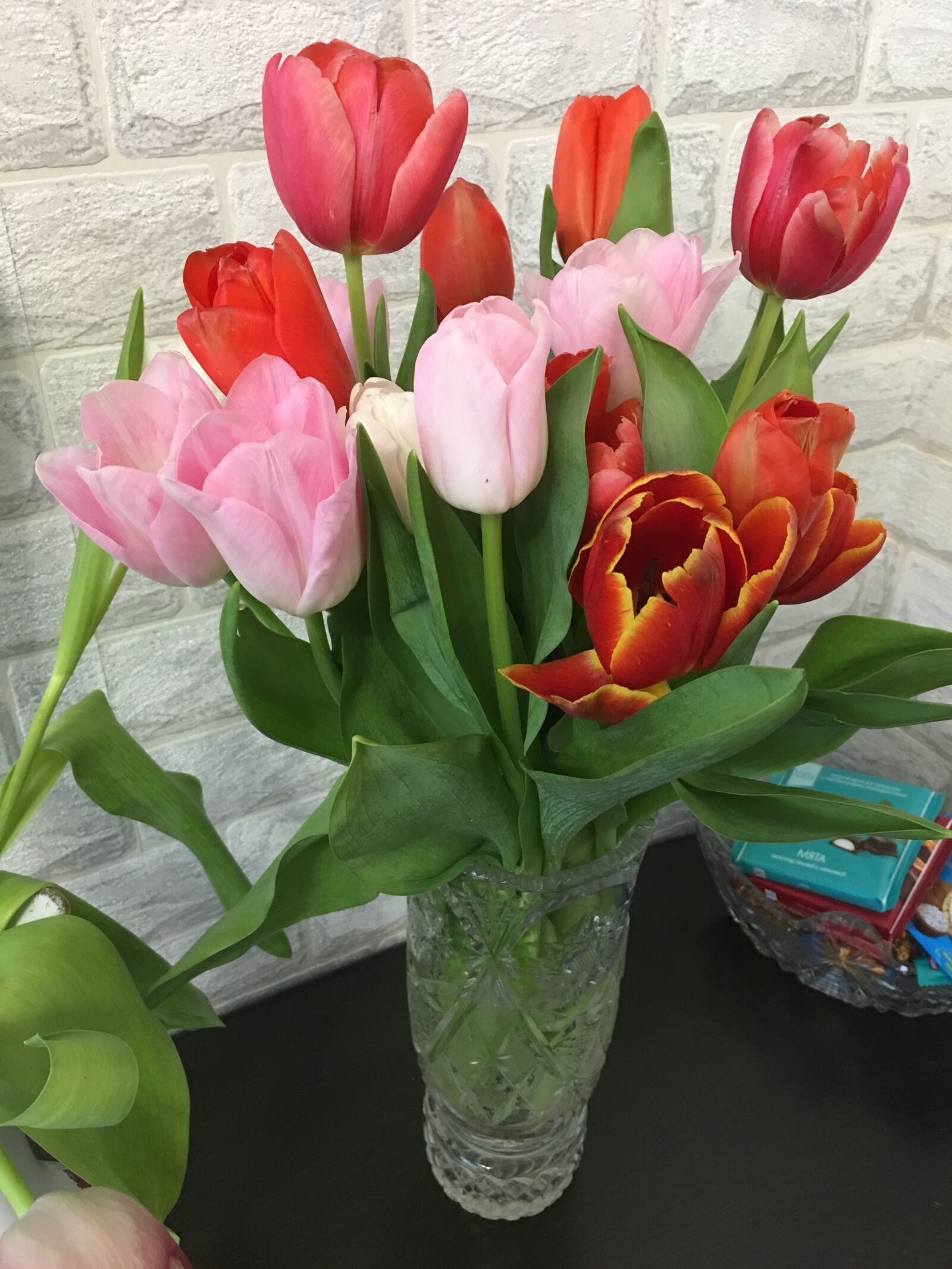 Apple iPhone 6s Plus sample photo. Tulips, bouquet, march 8 photography