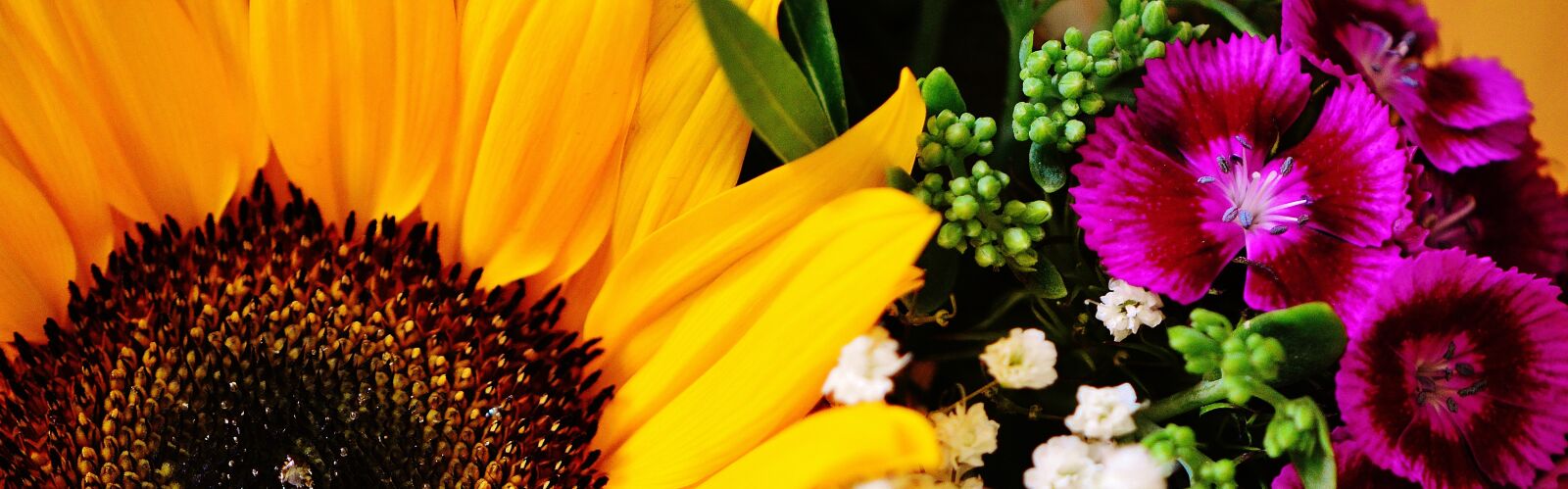Nikon D3200 sample photo. Bouquet, sunflower, summer photography