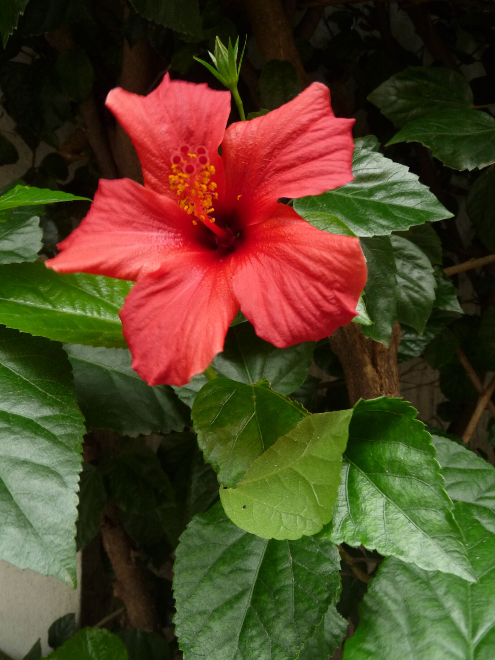 Panasonic Lumix DMC-FZ28 sample photo