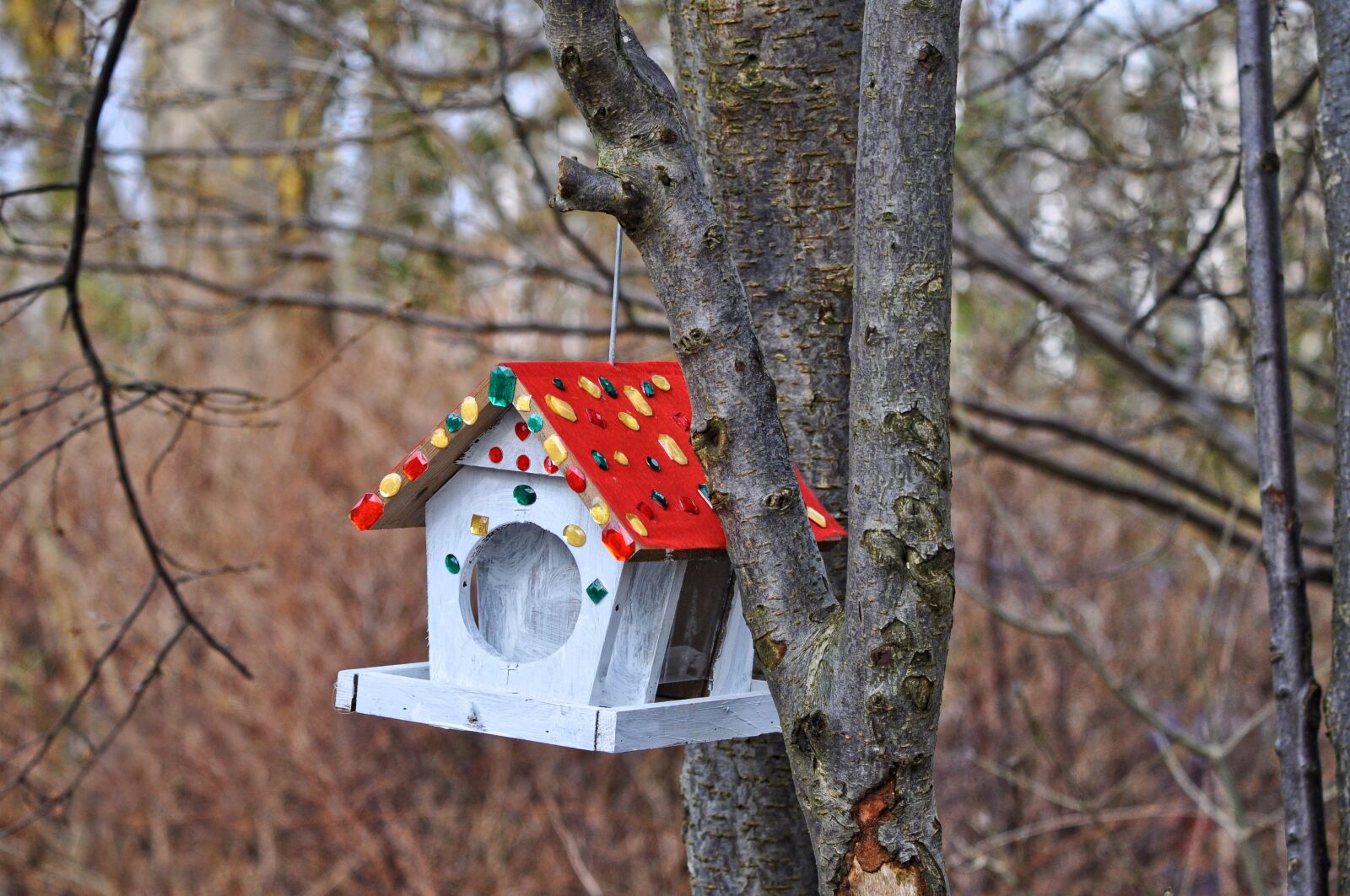 Nikon D90 sample photo. Birdhouse, nesting box, nesting photography