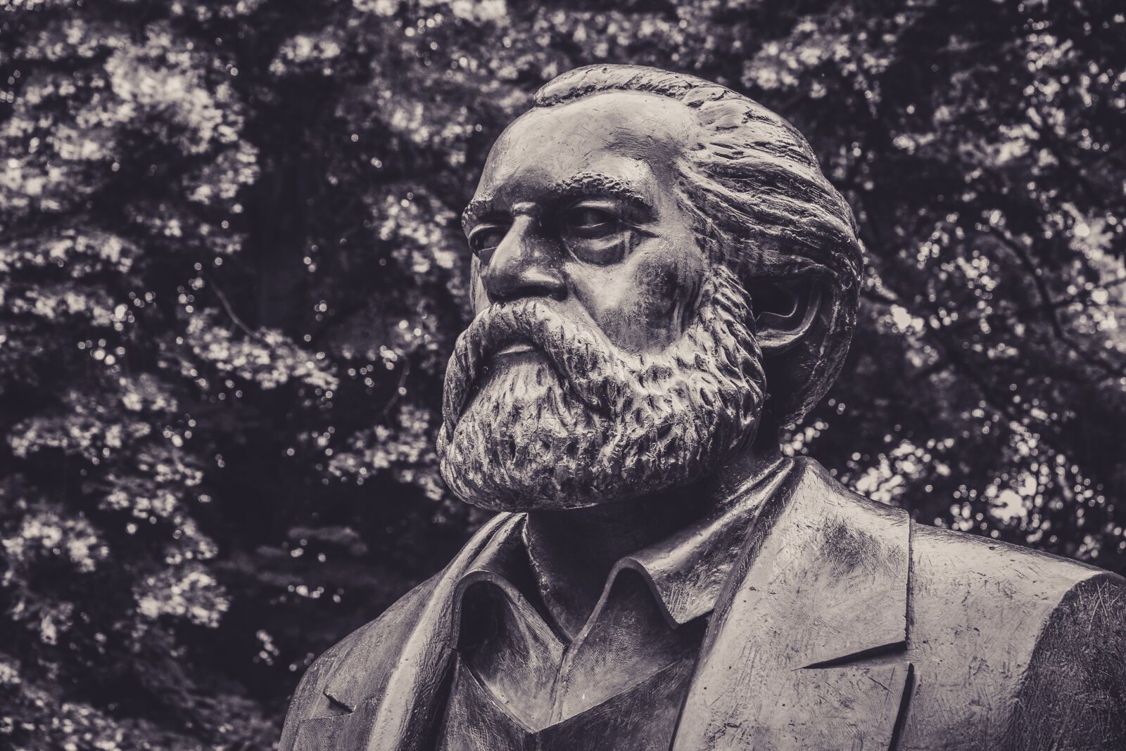 Nikon D610 sample photo. Karl marx, criticism, philosopher photography
