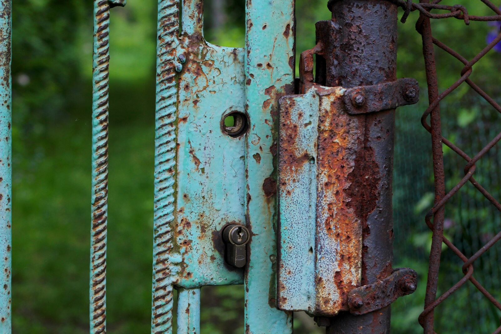 Canon EOS 1200D (EOS Rebel T5 / EOS Kiss X70 / EOS Hi) sample photo. Castle, gate, rust photography