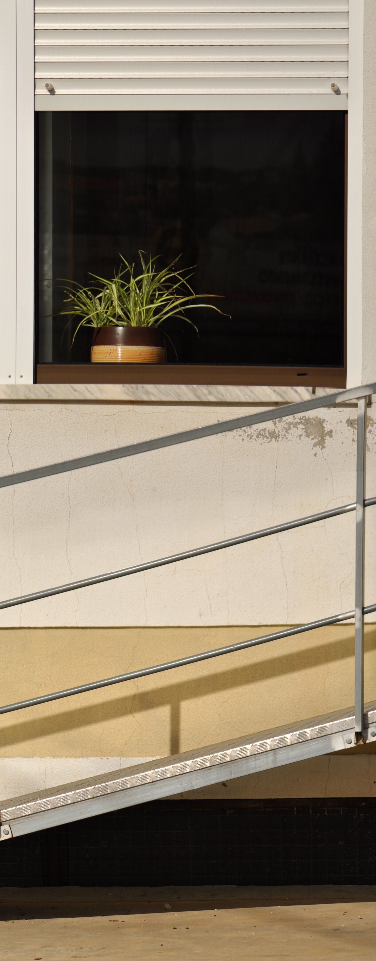 Nikon D90 sample photo. Lines, window, plant photography