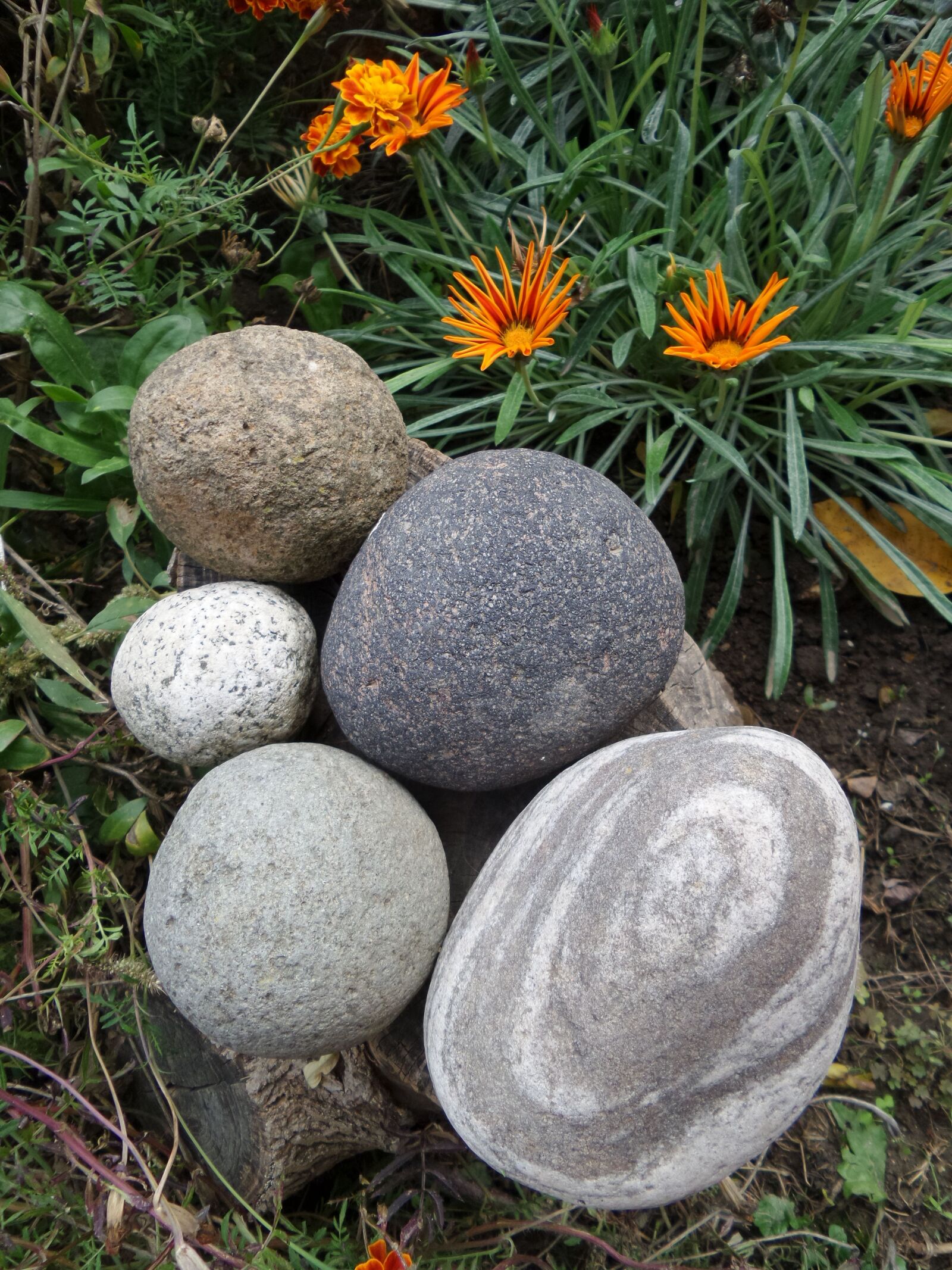 Samsung Galaxy K Zoom sample photo. Garden, flowers, stones photography